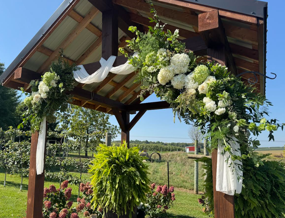 Screenshot 2025-11-06 113759.png