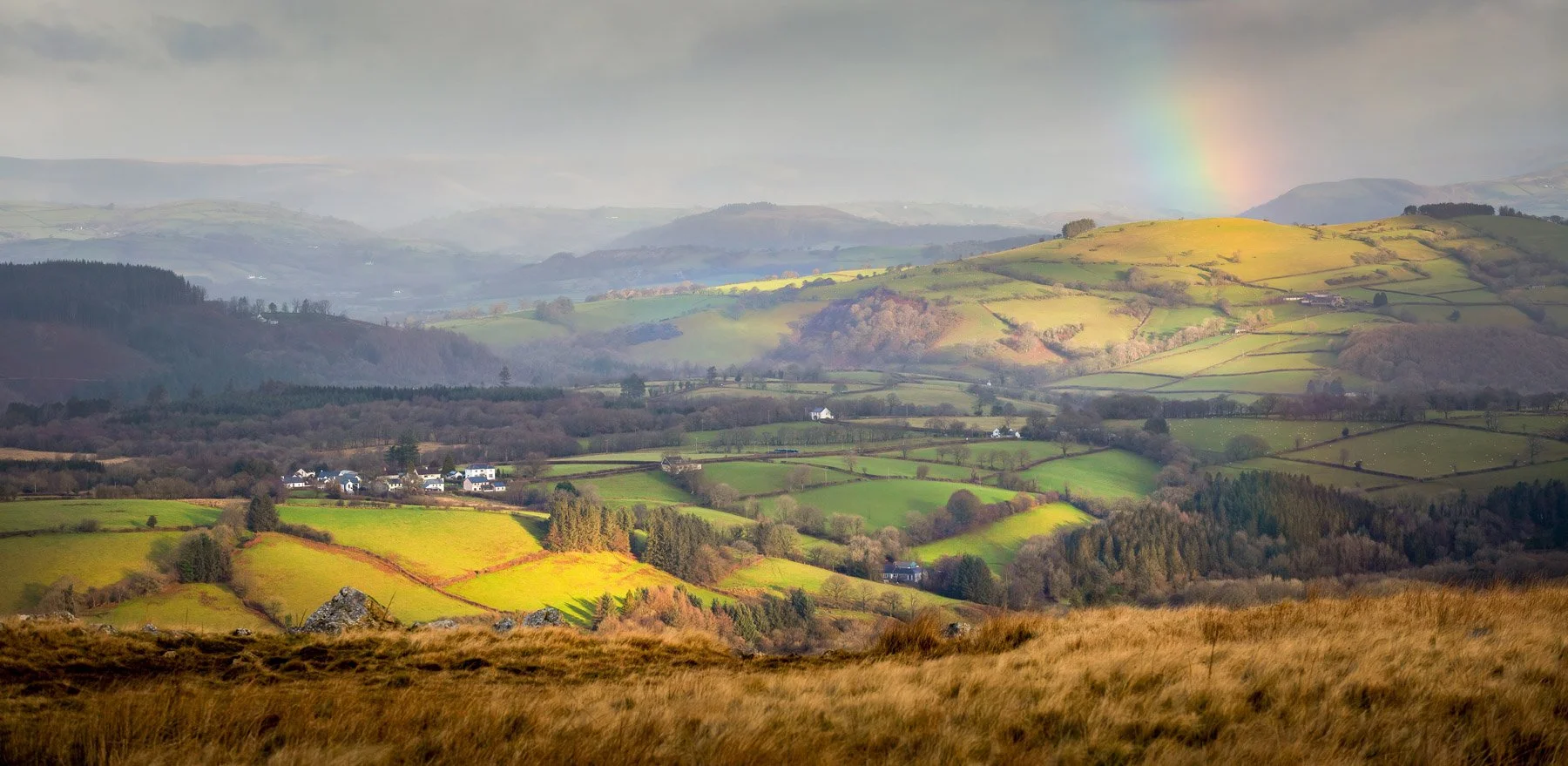 2 Carmarthen Ham landscape.jpg