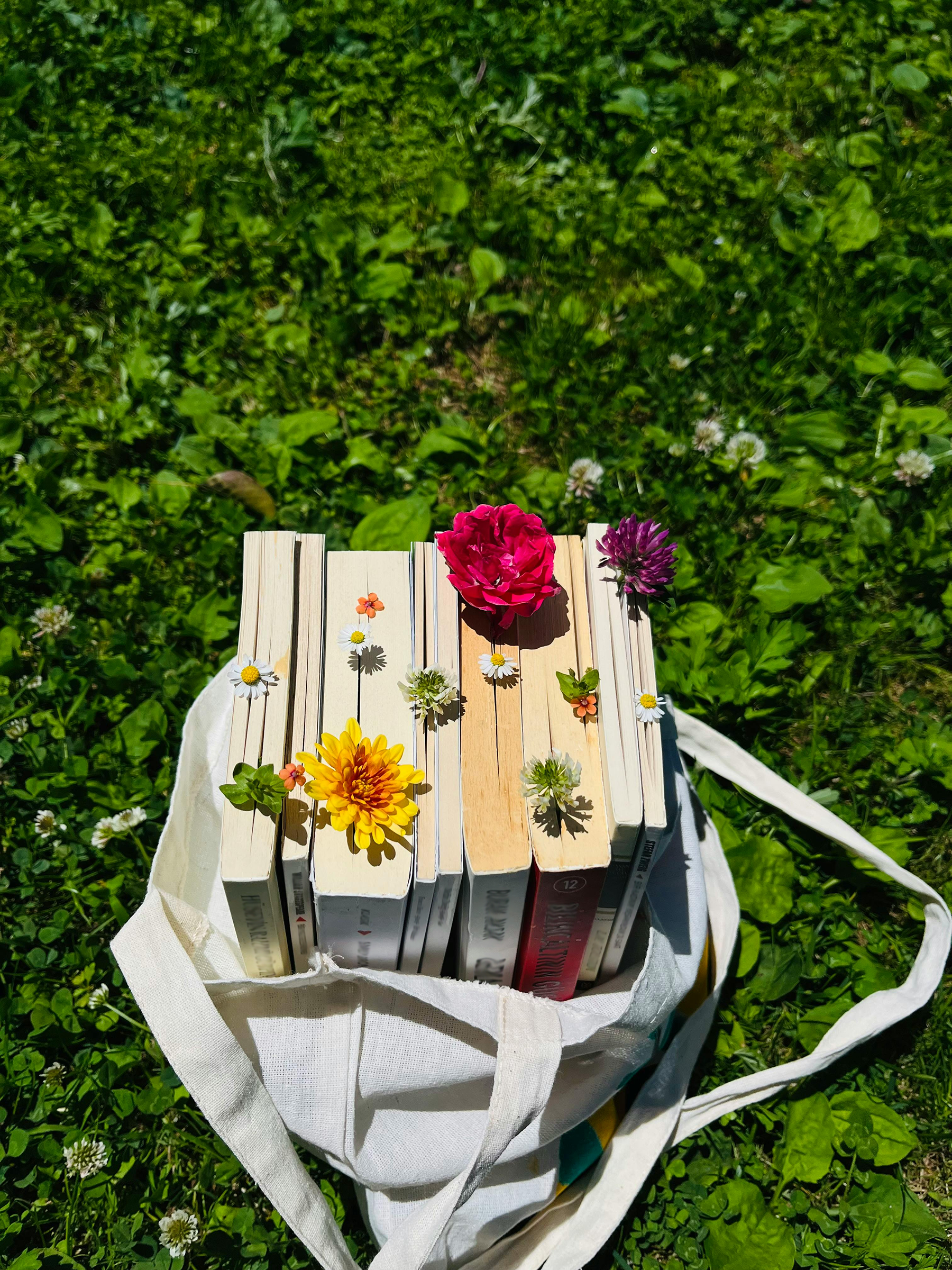 wellness & mental health books