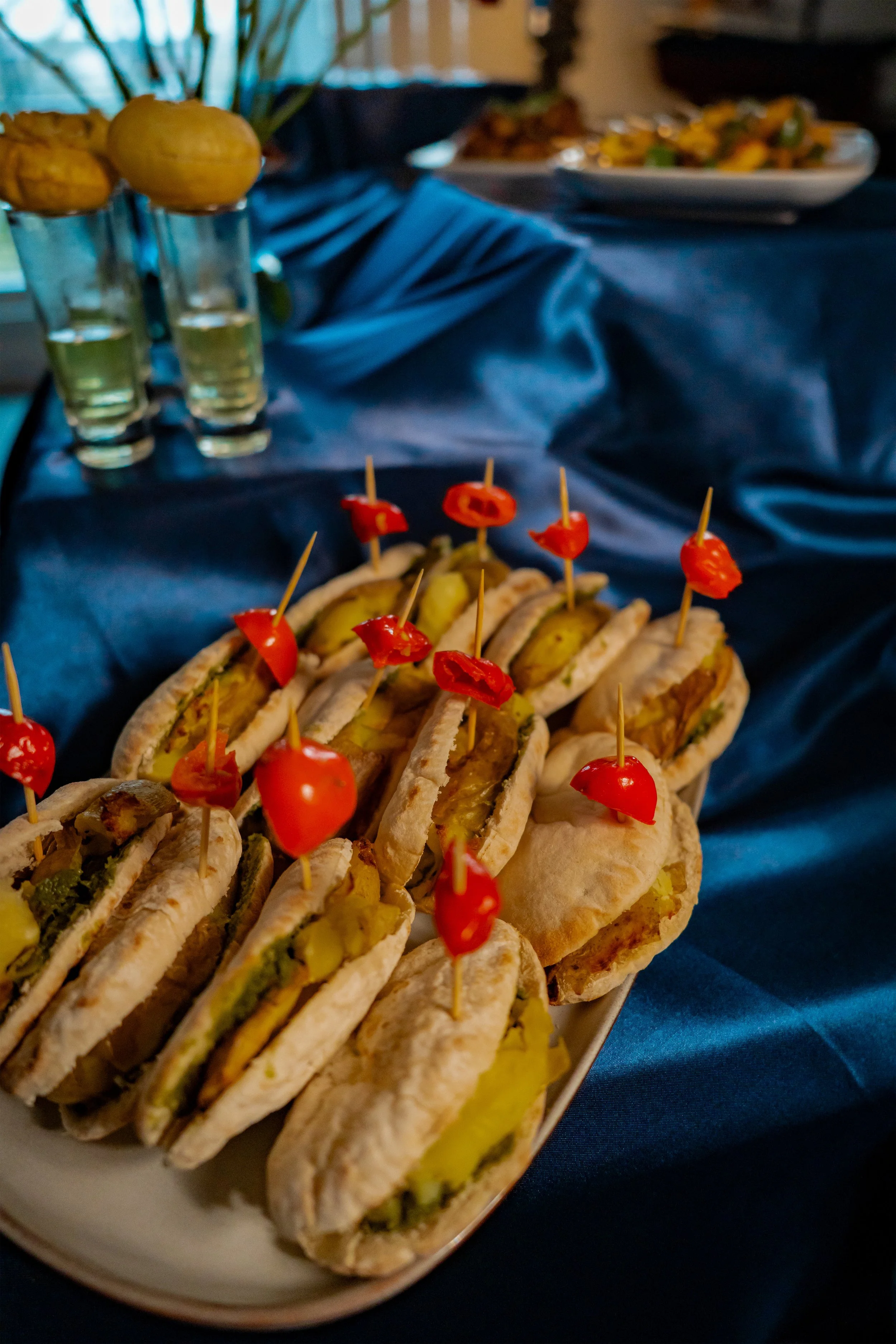 portrait of the para van