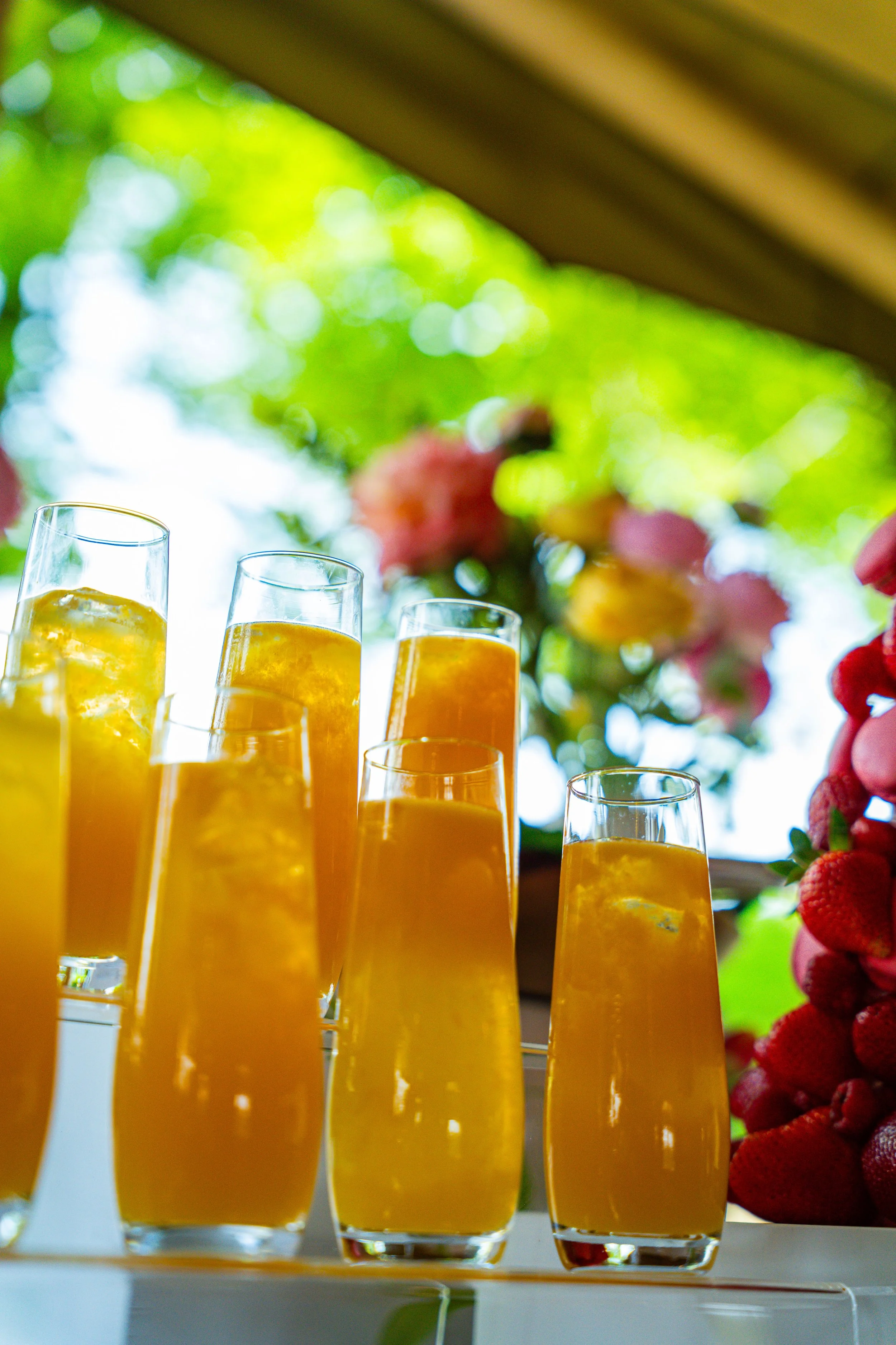 A row of tall glasses filled with orange juice, set on a white surface with a blurred background of green foliage and a wooden ceiling.