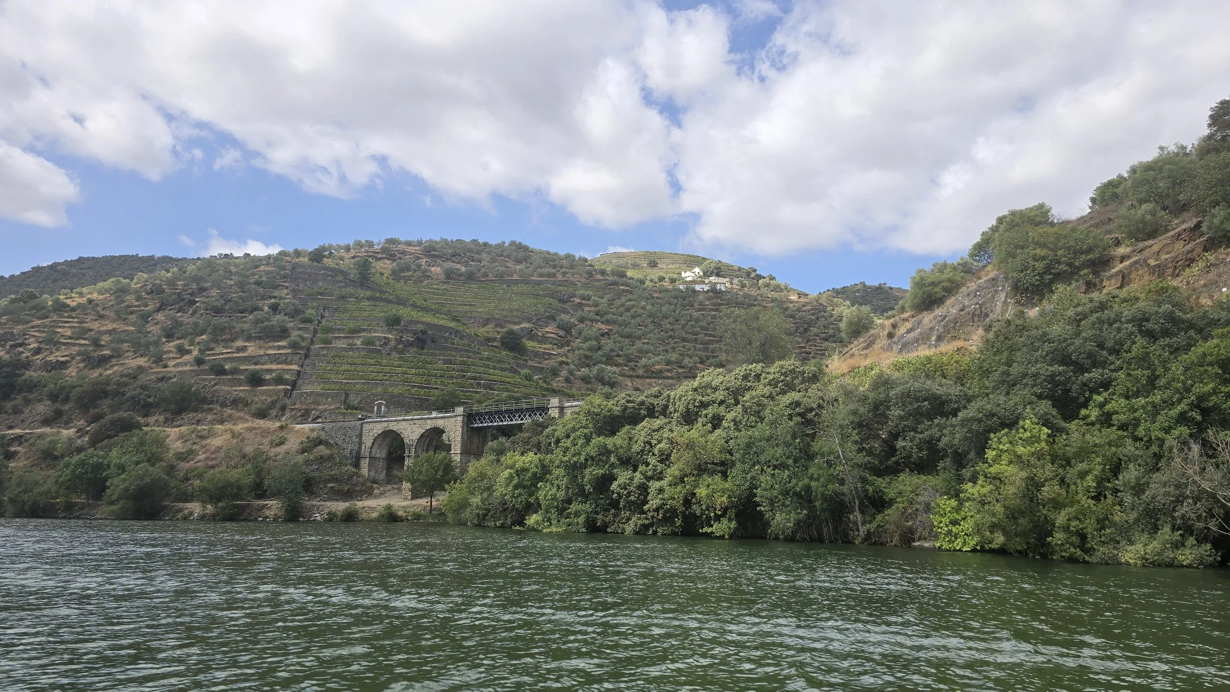 Landscape view of a river with green water, lush green trees on the riverbank, and hillside vineyards with a stone arch bridge in the distance under a partly cloudy sky.