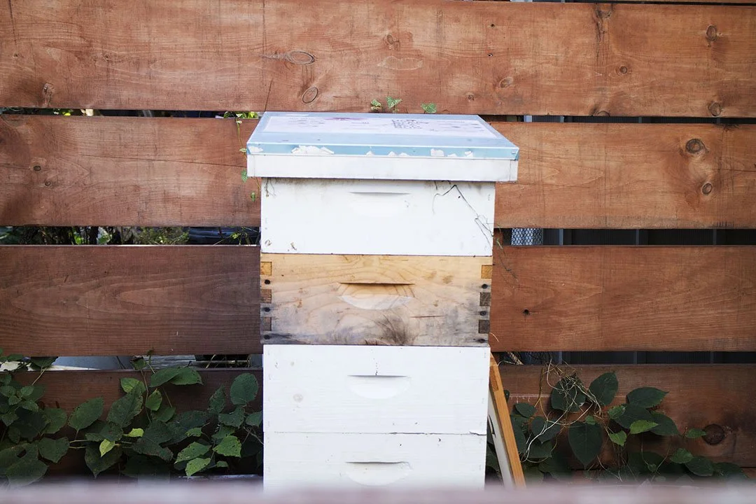 A white beekeeping hive with multiple stacked boxes in front of a wooden fence and green plants.