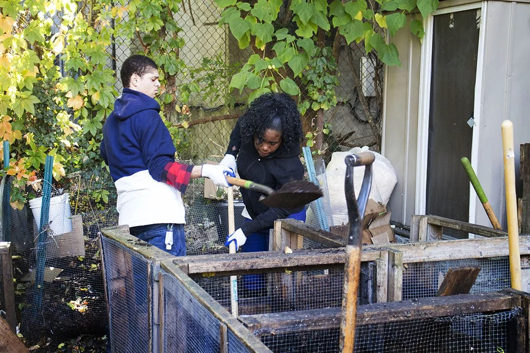 Two people working together building or repairing a wooden and wire mesh enclosure outdoors, surrounded by green leafy plants and gardening tools.