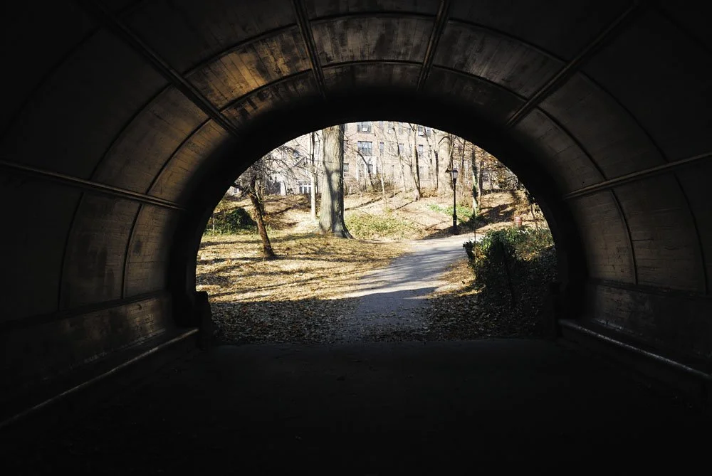View from inside a dark tunnel looking out onto a park with trees and a dirt pathway