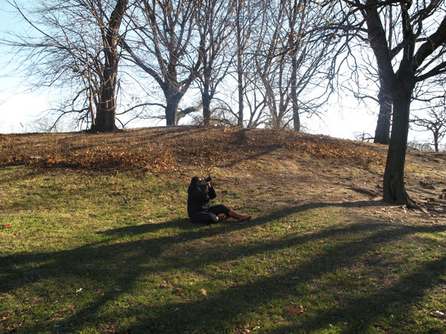 A person sitting on the grass in a park, taking a photo with a camera, surrounded by leafless trees on a sunny day.