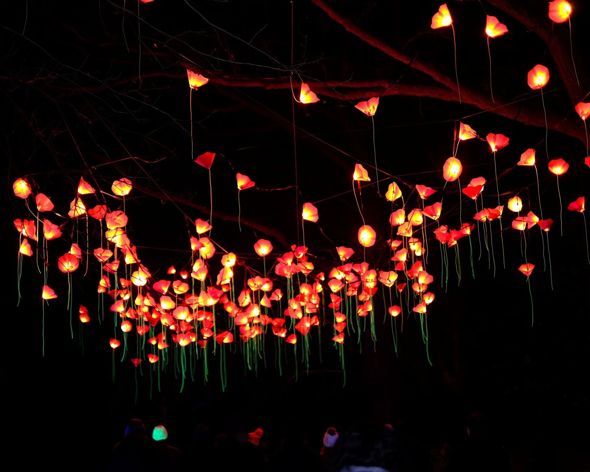 Taking a Pause : 2023 in Review