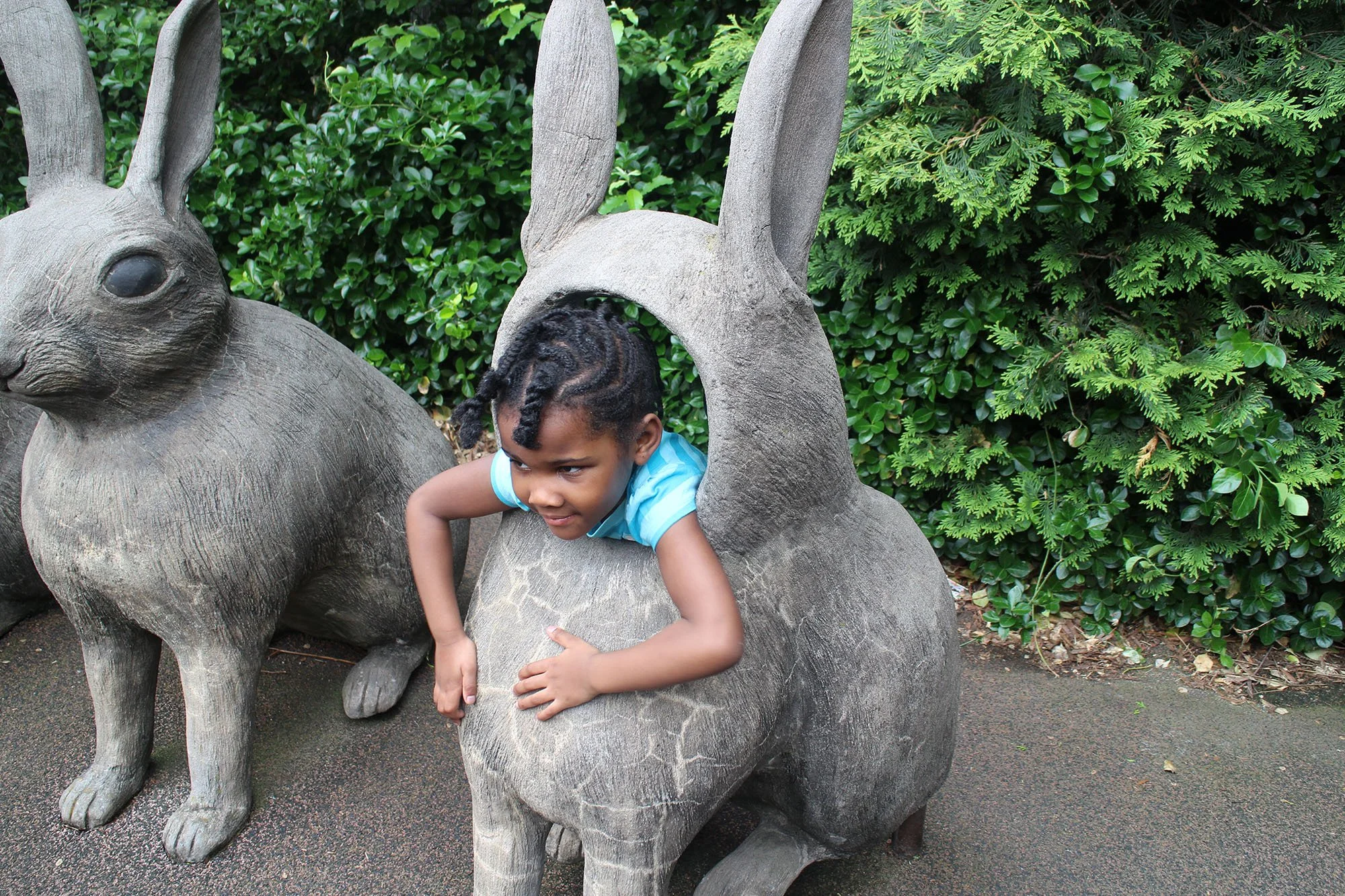 CentralParkZoo_144.jpg