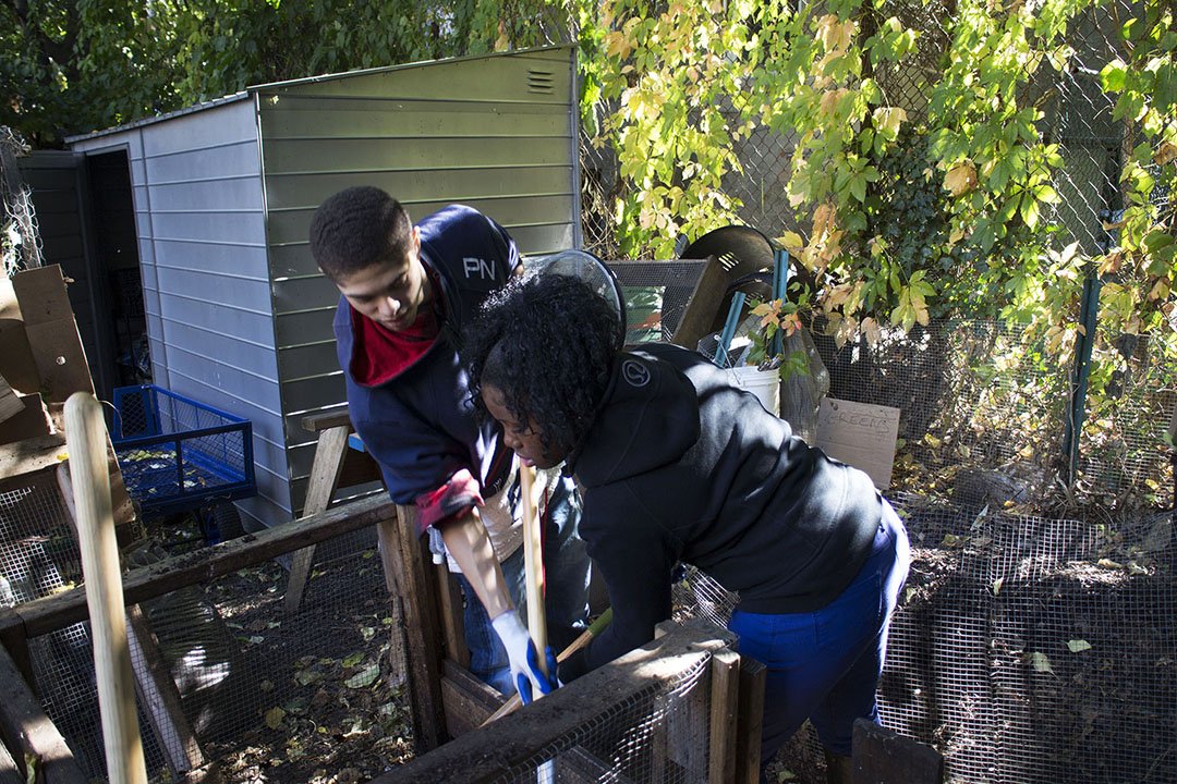 Two people working together in a garden or outdoor area with a small wooden fenced enclosure, surrounded by trees and plants.