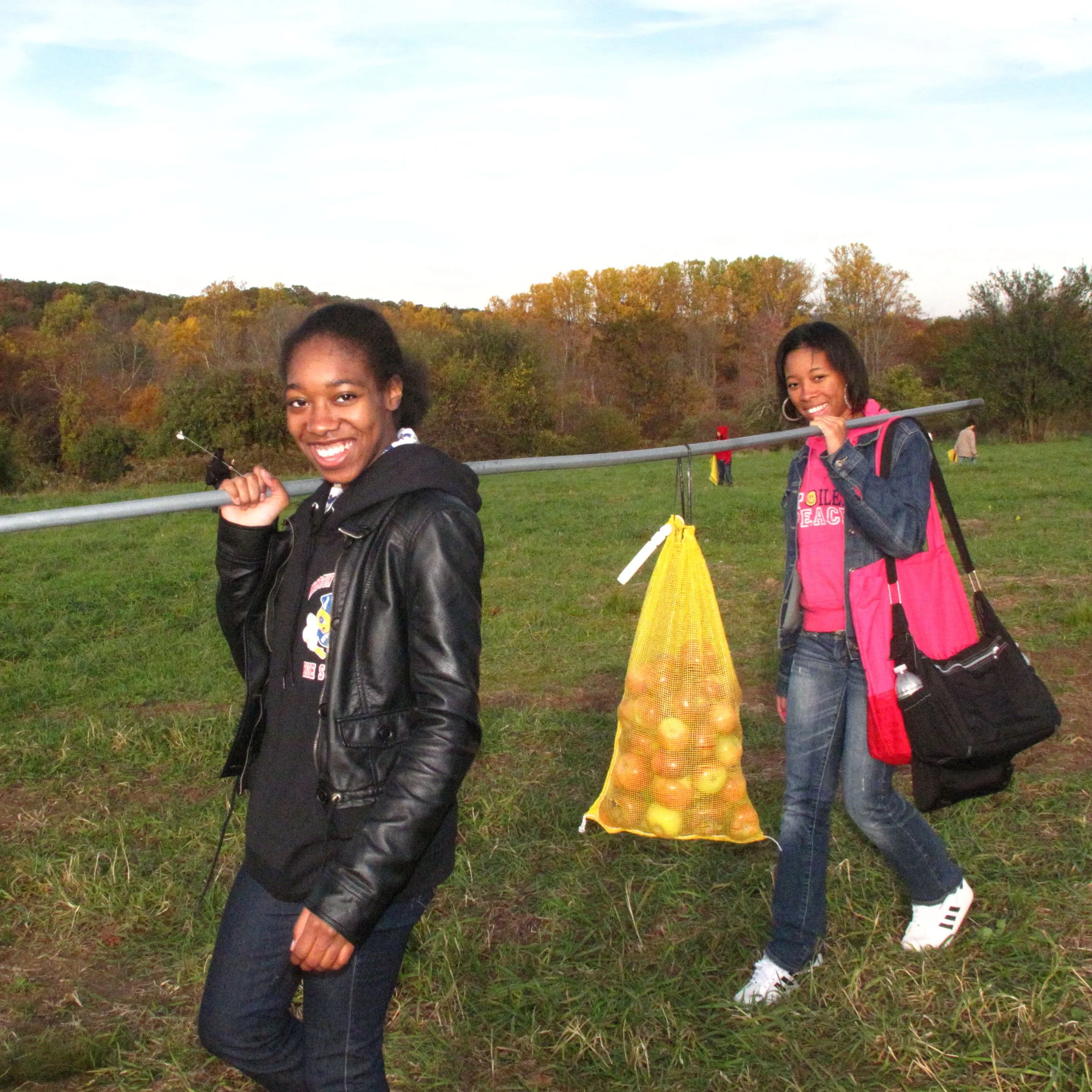 Two smiling young women walking outdoors in a grassy field, carrying a pole over their shoulders with a net bag of apples hanging from it, trees with fall foliage in the background.