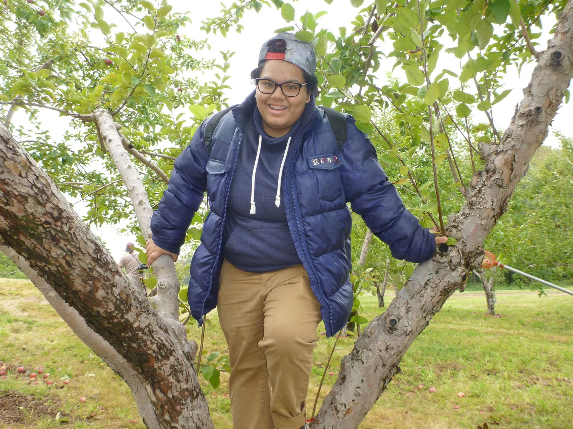 A young man with glasses and braces smiling, wearing a blue jacket, hoodie, and hat, climbing in an apple tree in an orchard.