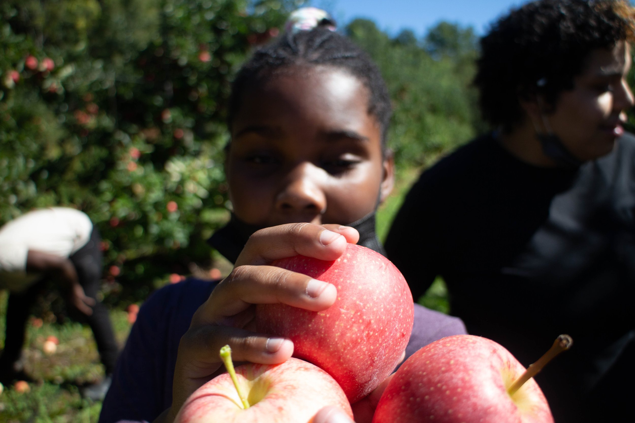 Young girl holding three red apples outdoors with other people in the background.