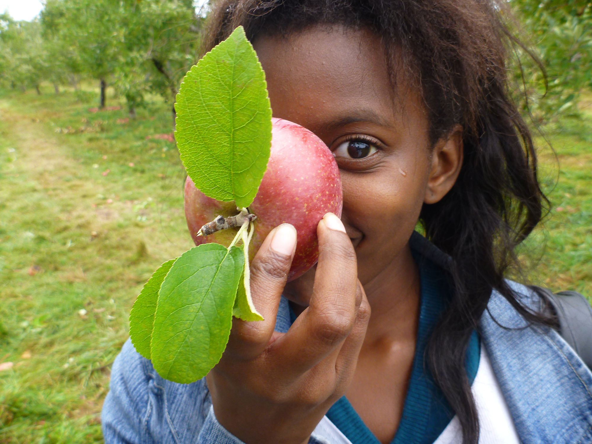 Girl holding a red apple with green leaves and a small twig, outdoors in an orchard.
