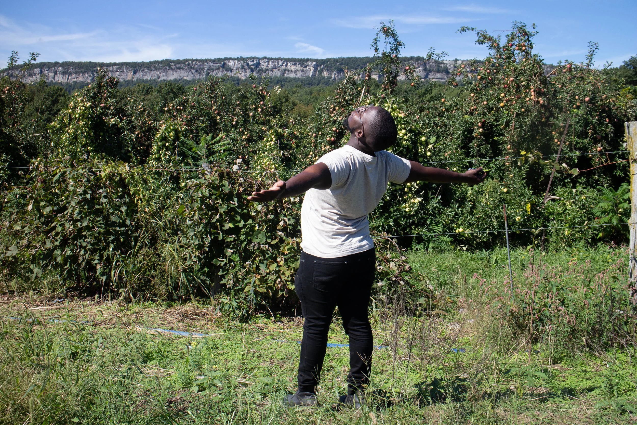 A person stands in an apple orchard with arms outstretched, surrounded by apple trees and a rocky hillside in the background.