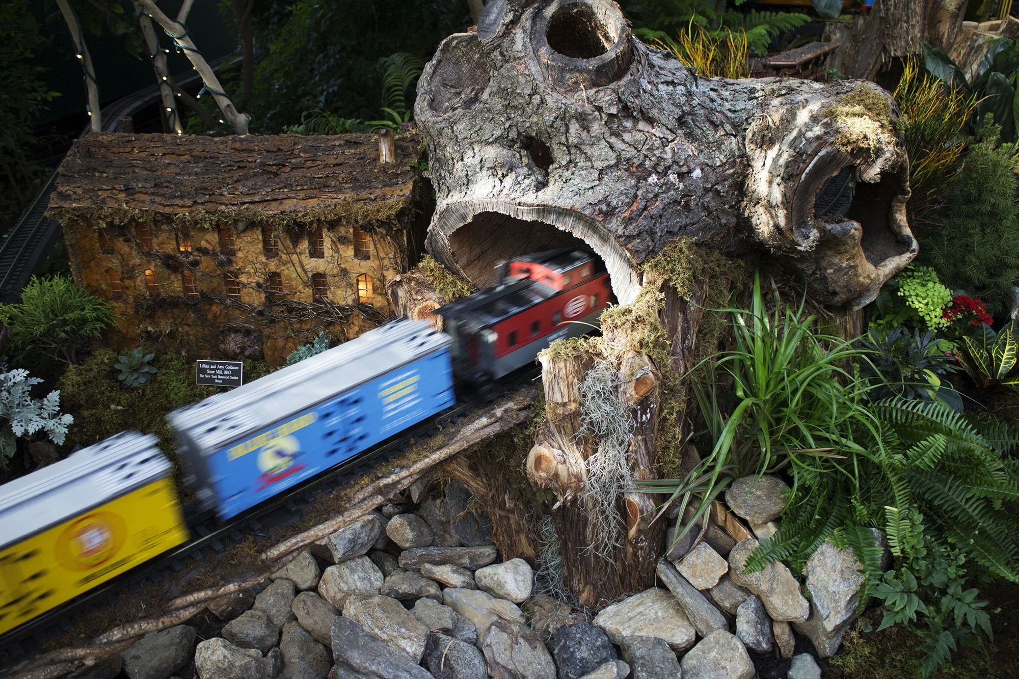 Miniature train passing through a nature scene with rocks, plants, and a hollowed-out log resembling a bear's head