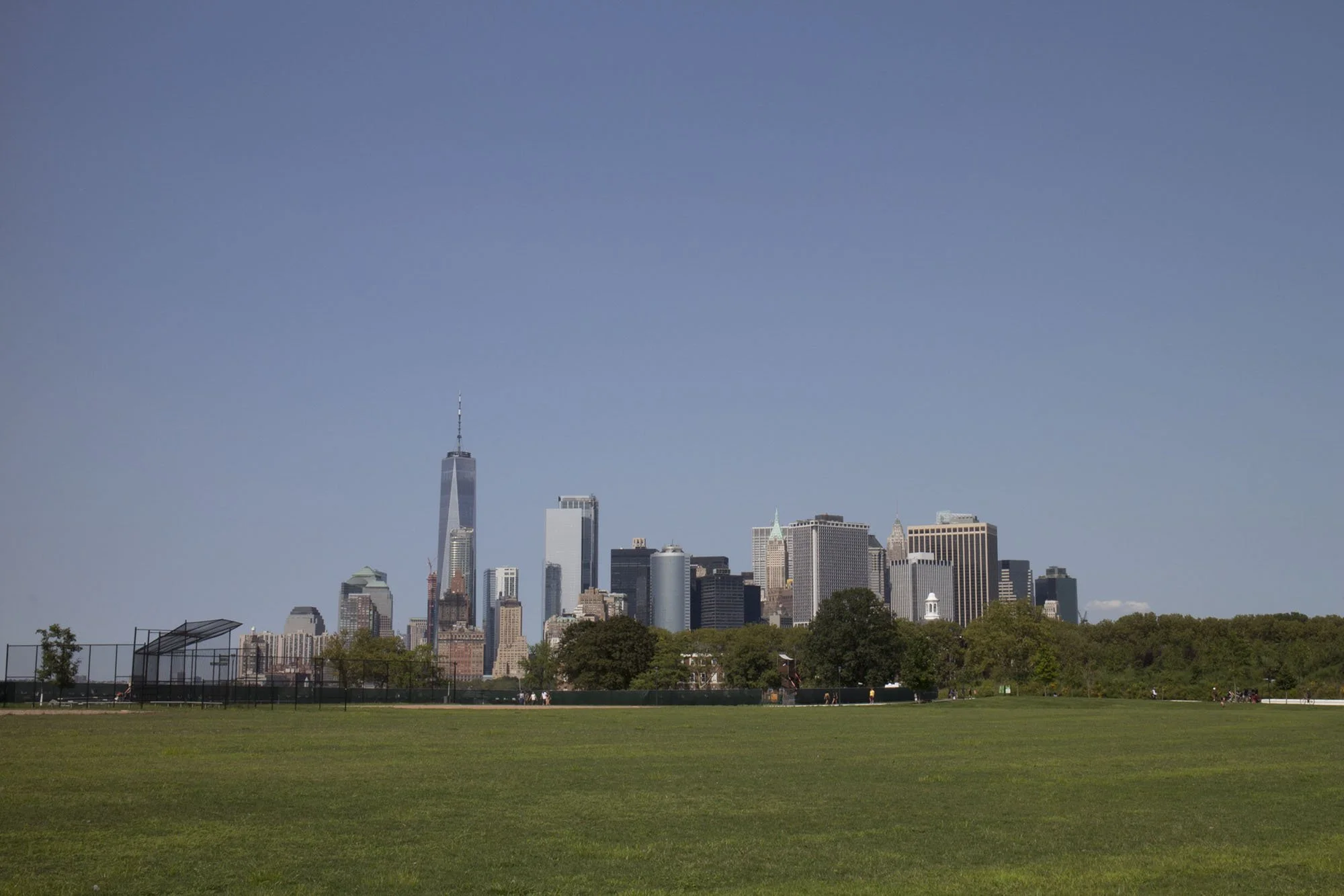 View of New York City skyline from a grassy park, featuring tall skyscrapers and clear blue sky.
