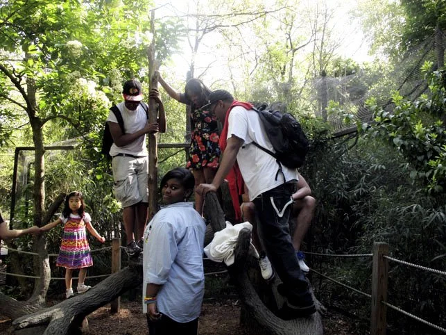 Group of children and a young woman on a fallen tree in a wooded area.