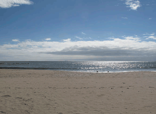 Sunlit beach with sandy shore, calm ocean, and partly cloudy sky.