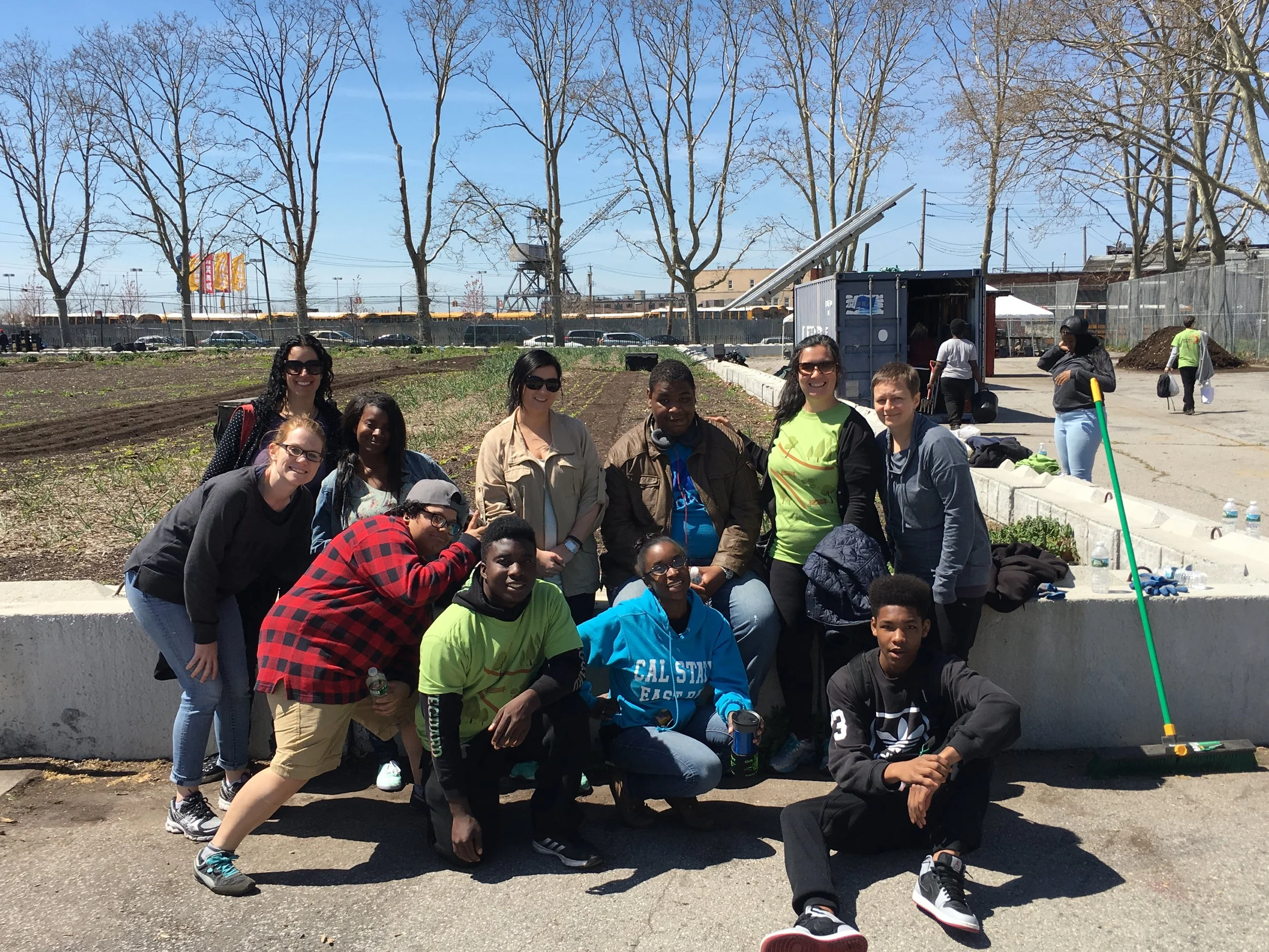 Group of people planting and working in a community garden in the daytime.