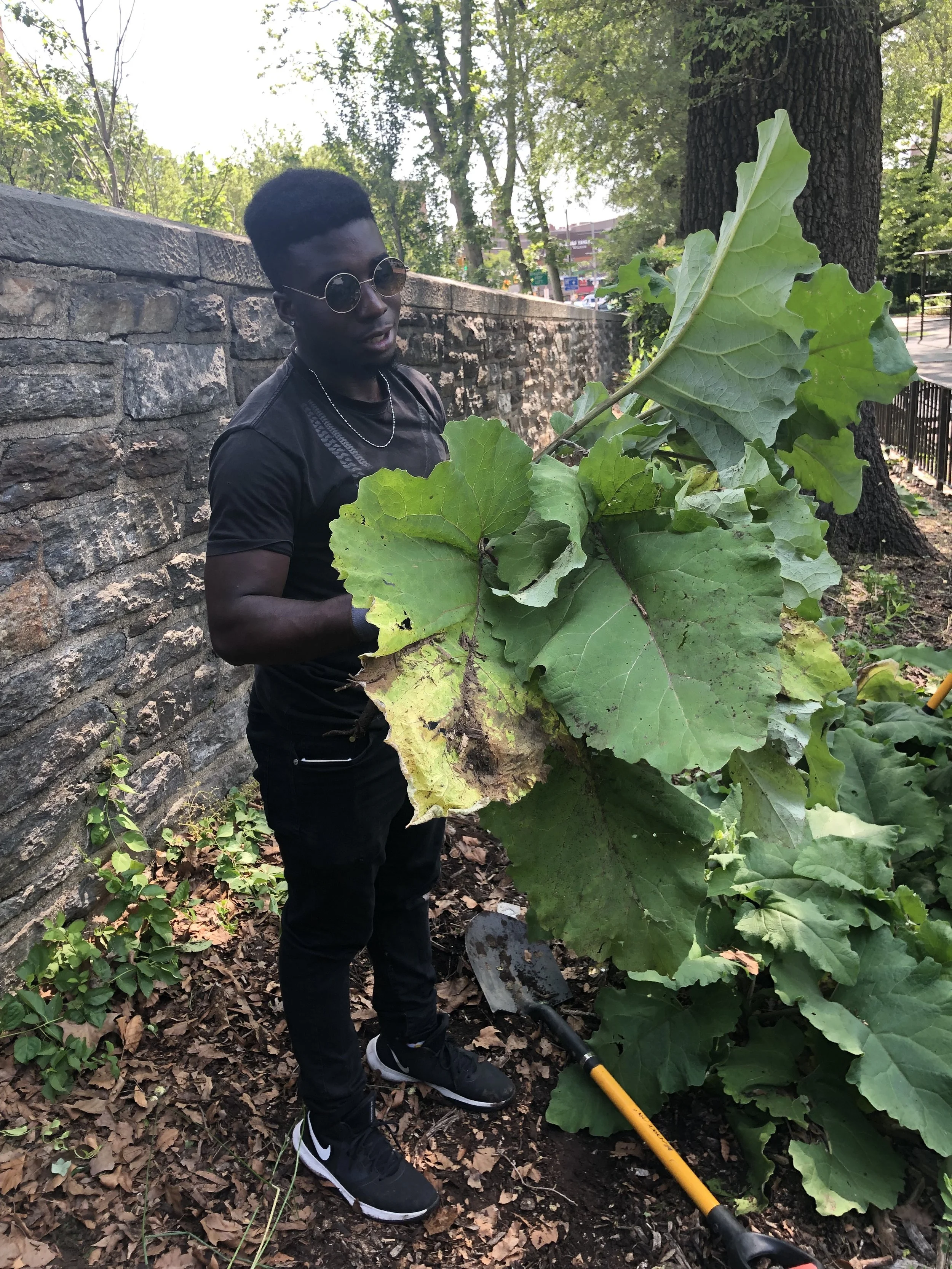 A man in black clothing and sunglasses holds a large green leaf in an outdoor setting with trees, a stone wall, and a tool on the ground nearby.