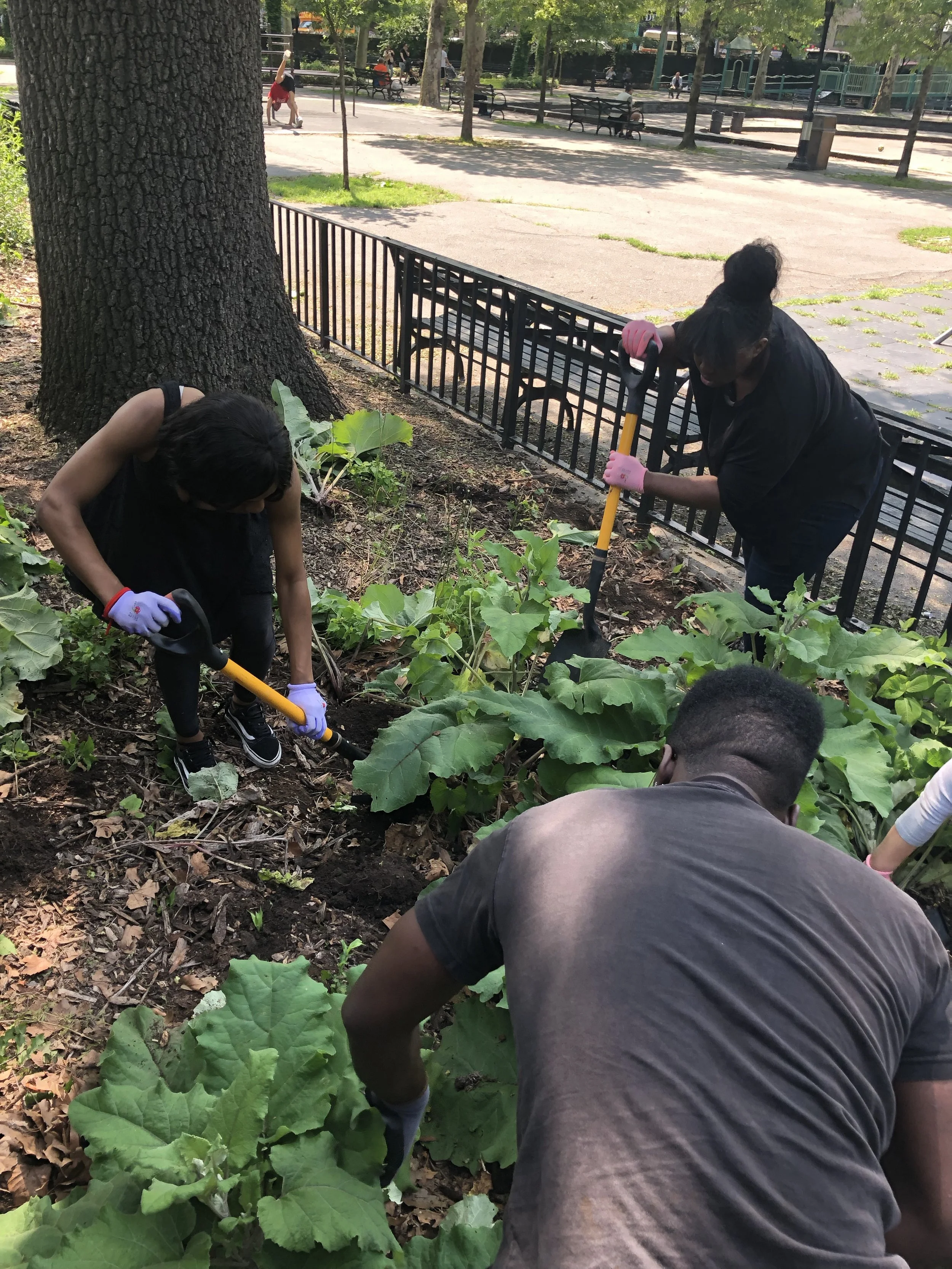 People working together to plant or tend to a garden in a park.