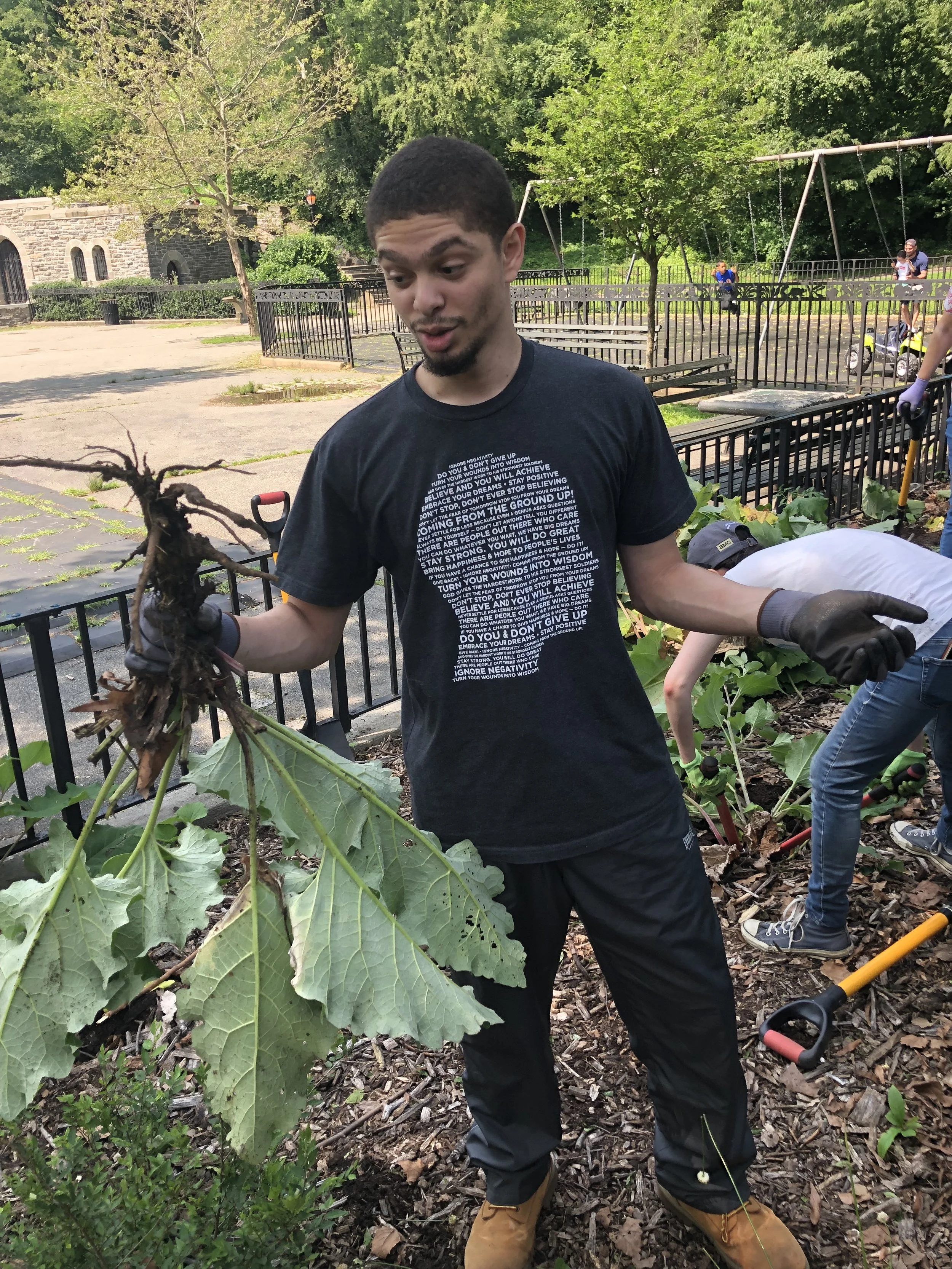 A young man wearing a black T-shirt and black gloves holding a plant with large leaves while working in a garden. Other people are also gardening in the background, with trees and a fence surrounding the area.