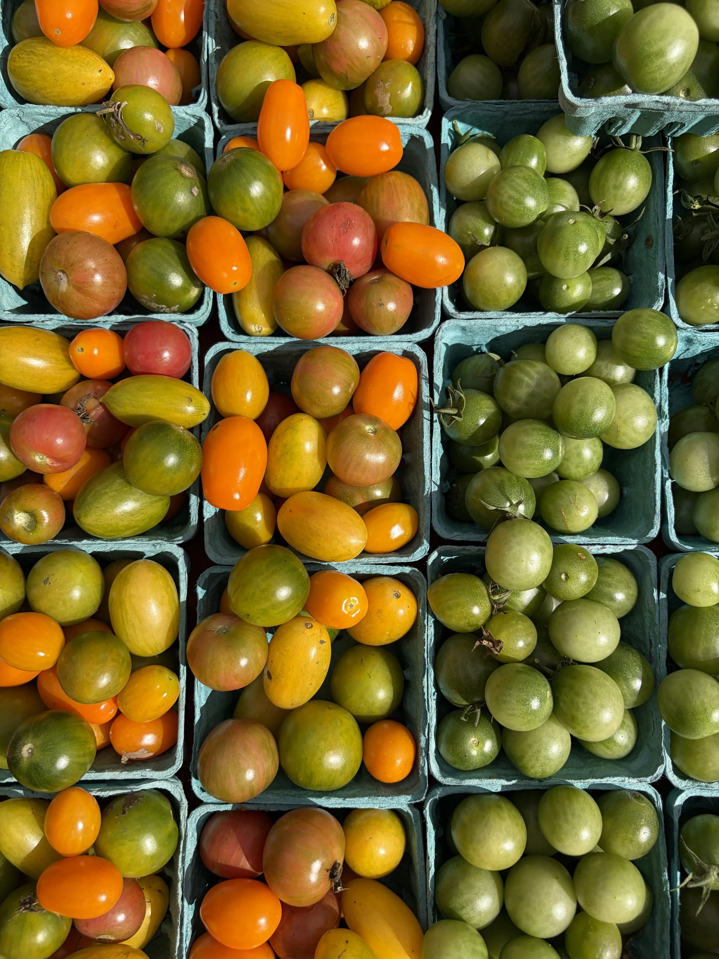 A Day at the Farmer’s Market