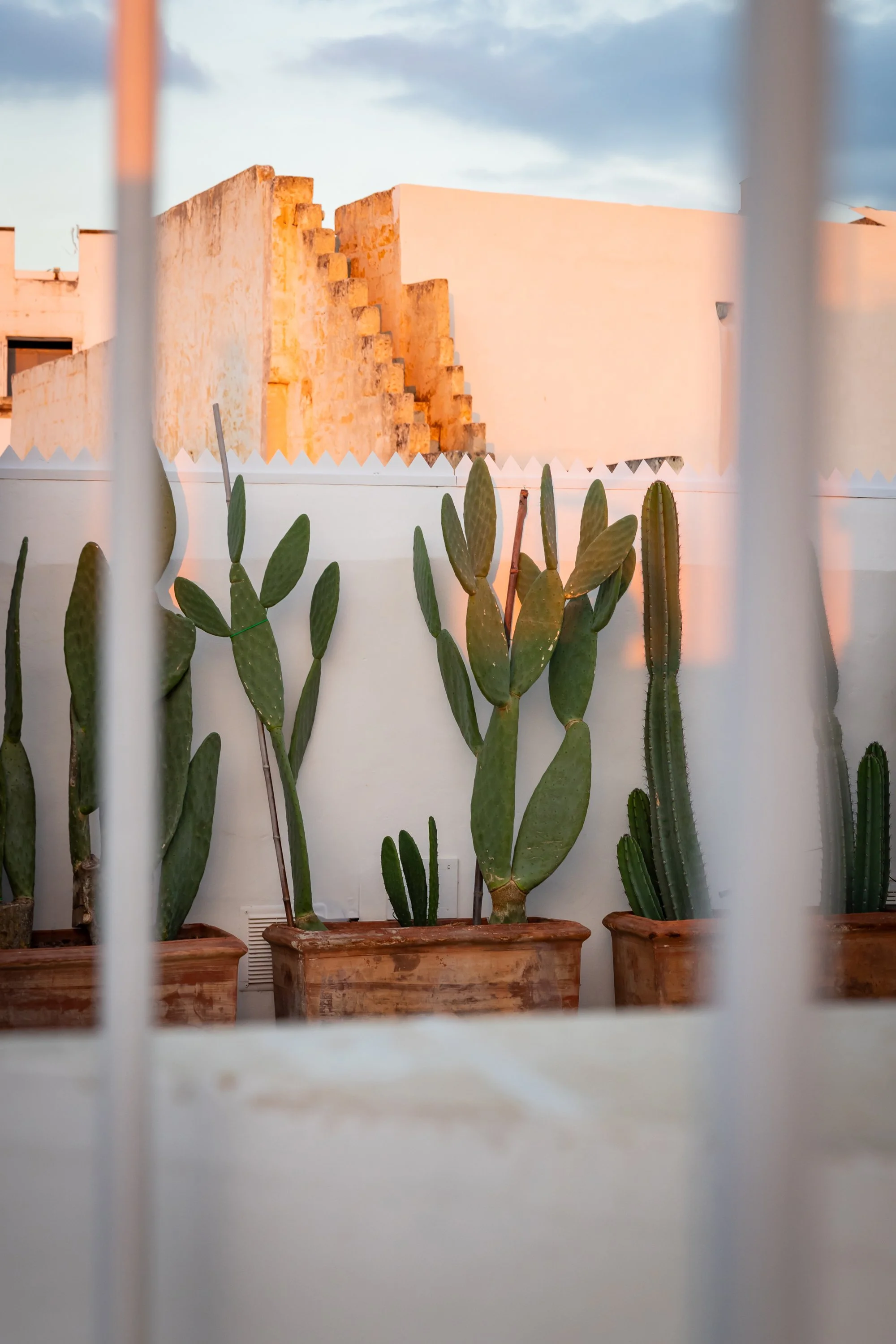 Outdoor living area at Palazzo Dolce Vita, surrounded by white walls and greenery in the heart of Gallipoli Old Town.