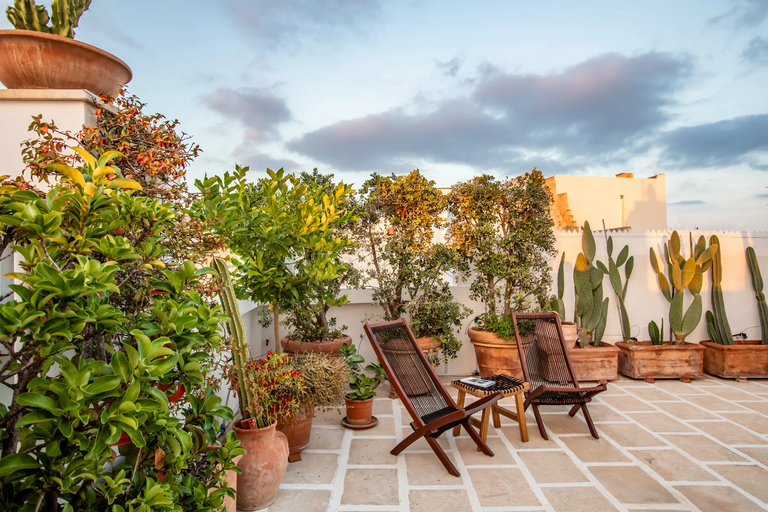 Terrace relax area at Palazzo Dolce Vita, featuring sun loungers, greenery and a calm outdoor atmosphere under the open sky..