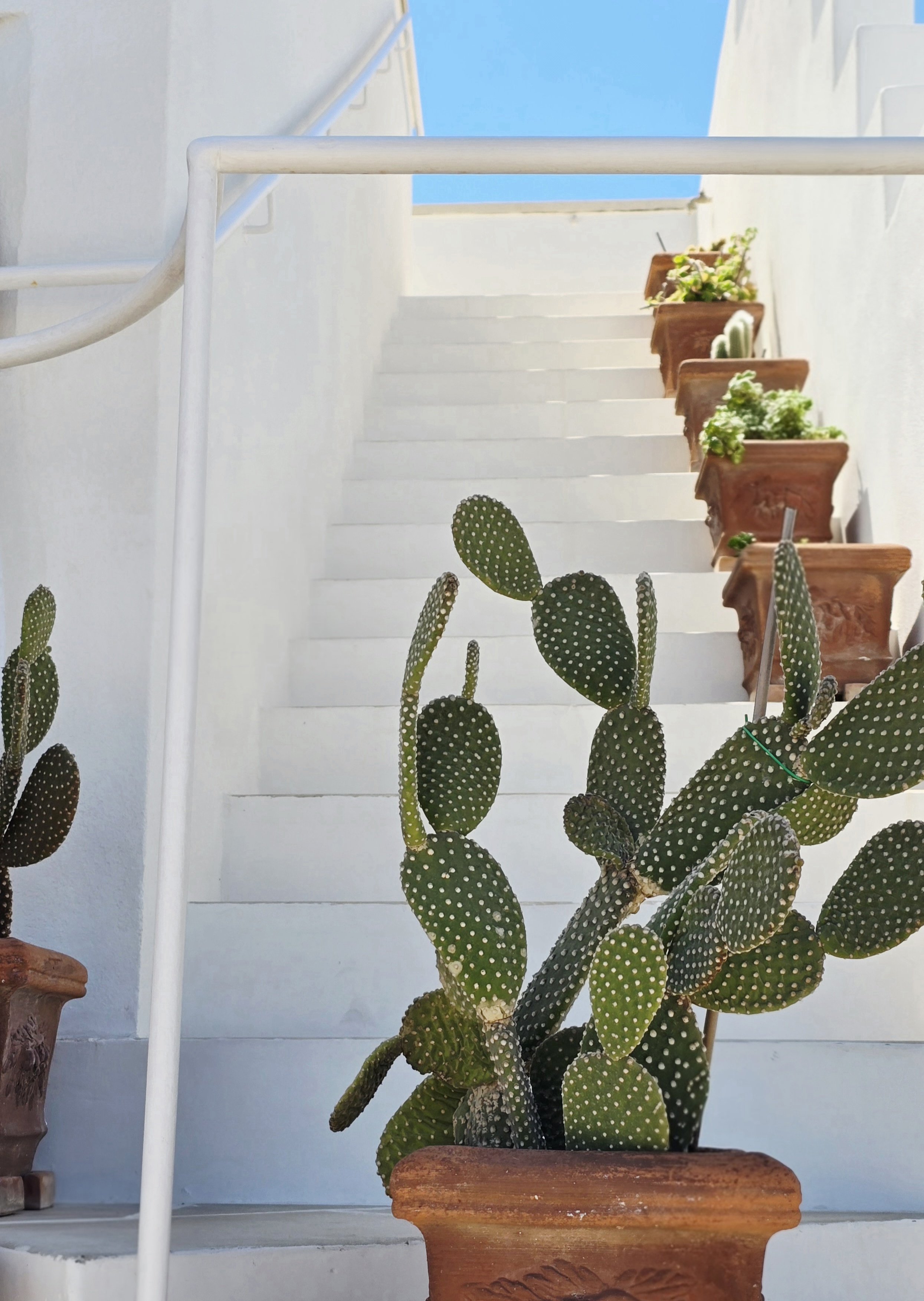White staircase at Palazzo Dolce Vita leading to the panoramic rooftop with sea views, framed by terracotta pots and Mediterranean plants.