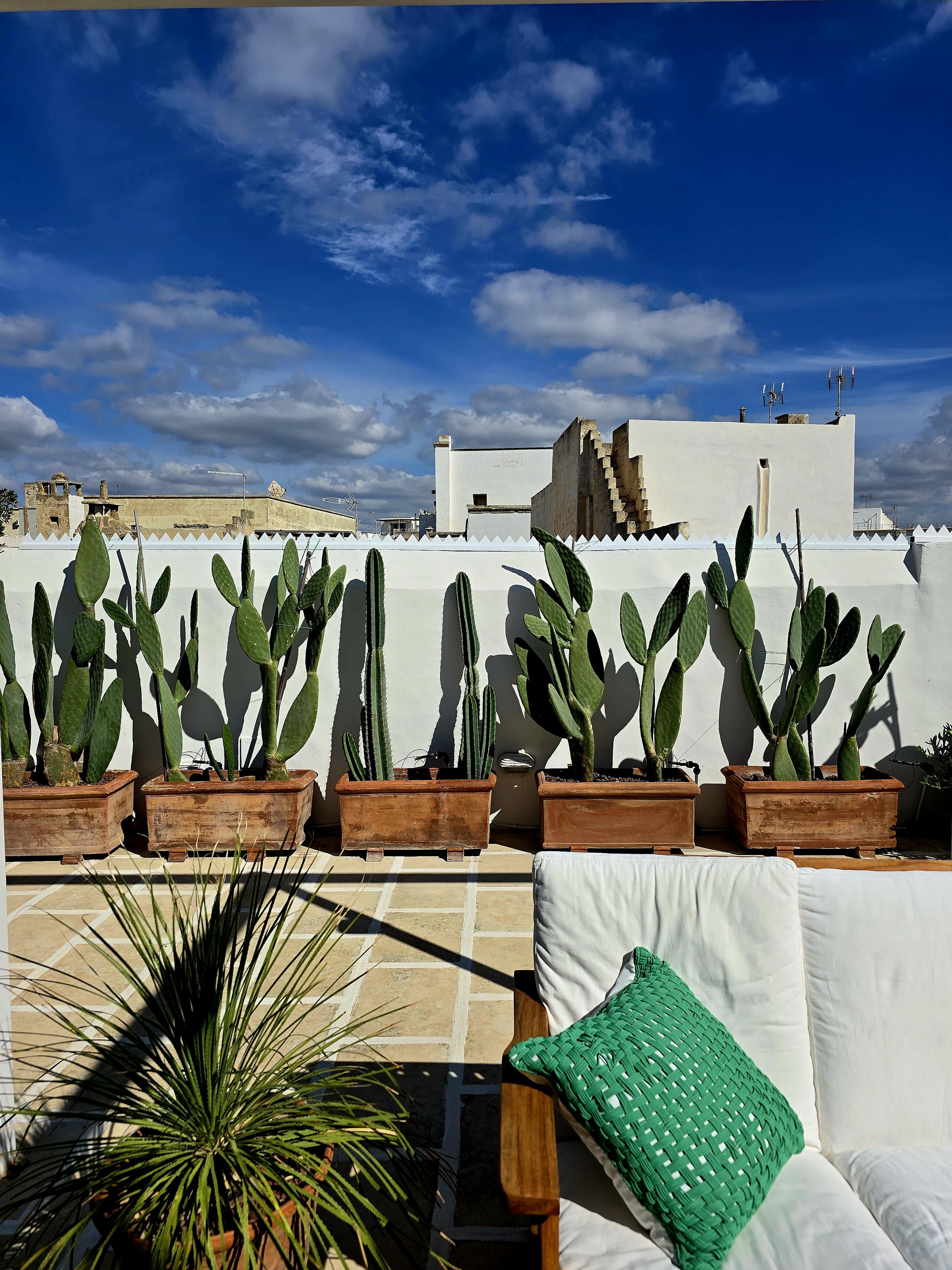 Outdoor living area on the rooftop of Palazzo Dolce Vita, with cushioned seating, potted cacti and open views under a blue sky.