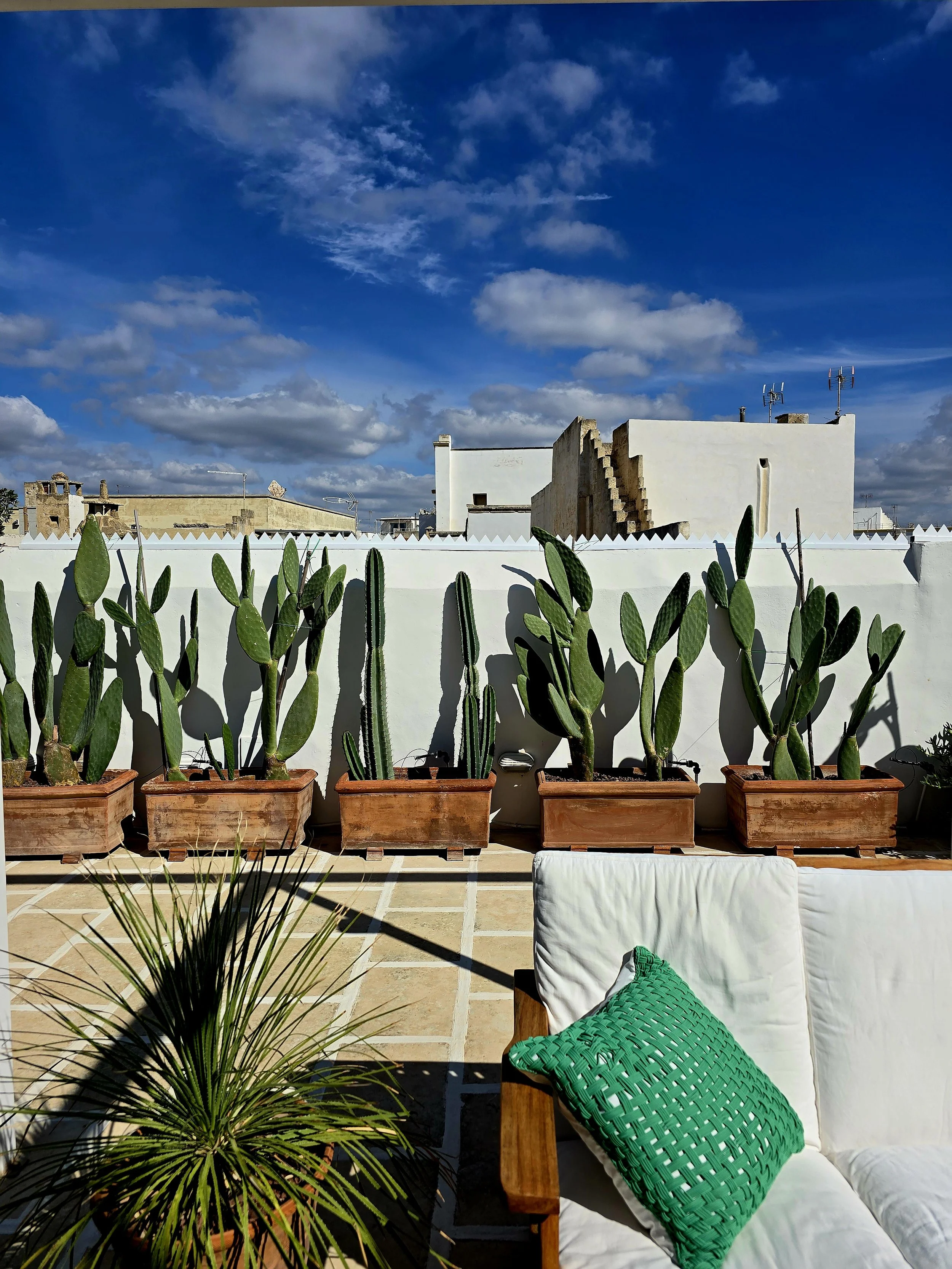 Private terrace at Palazzo Dolce Vita in Gallipoli Old Town, with potted cactus plants and white walls under the Mediterranean sky.