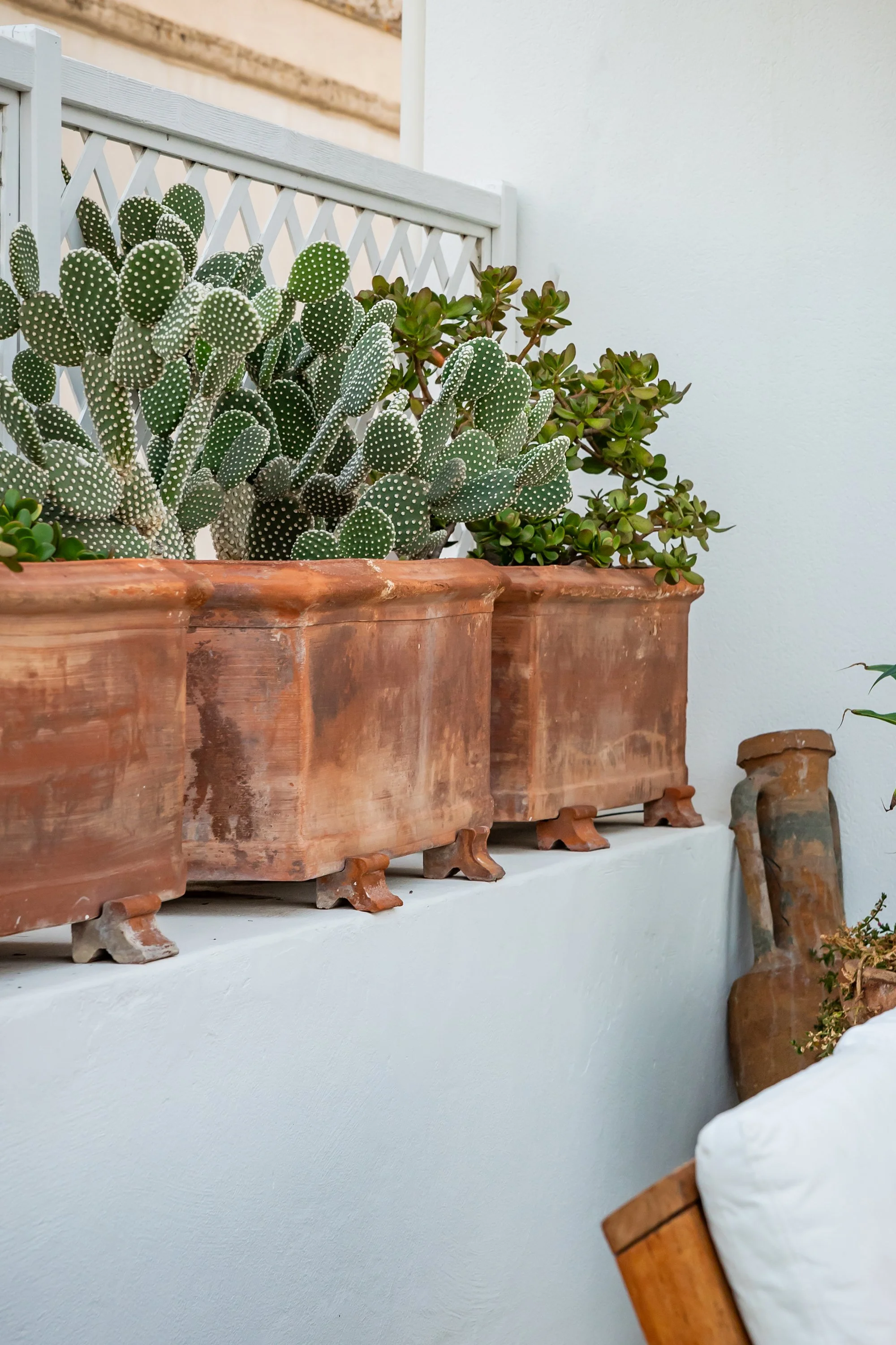 Outdoor living area detail at Palazzo Dolce Vita, with terracotta planters filled with succulents and cacti against white Mediterranean walls.