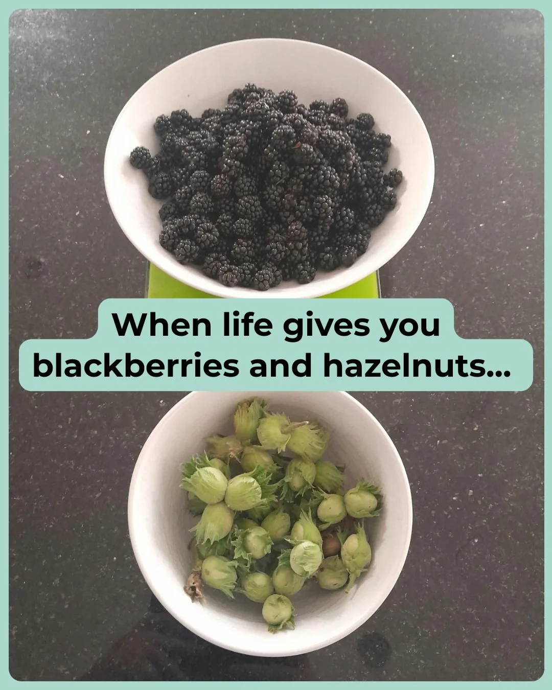I'm still foraging in the hedgerows despite the lack of rain meaning that some fruits and nuts are scarce or a little underdeveloped.

Today, I have almost 400g of blackberries and a good pile of hazelnuts. 

But what to do with this? The answer is t
