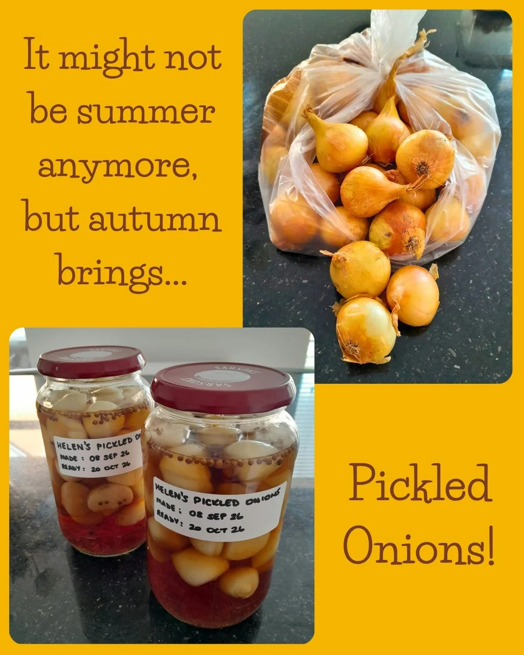 From the start of September, we're in meteorological autumn, and while I'm definitely not ready for summer to be completely over, there is one huge advantage of this time of year... 

Pickling Onions are ready for harvest! I bought 1.2kg of onions fr