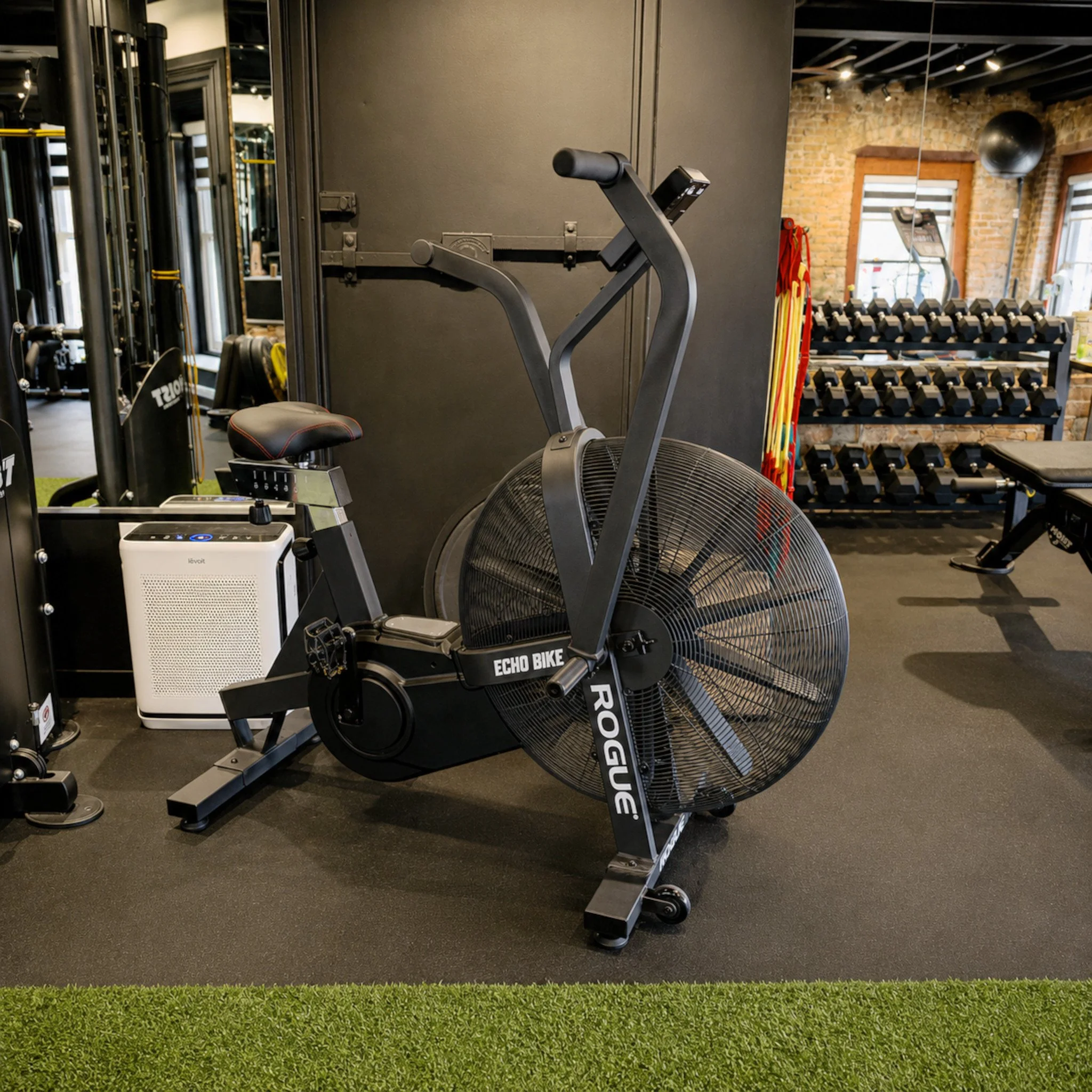 Rogue Bike.jpg