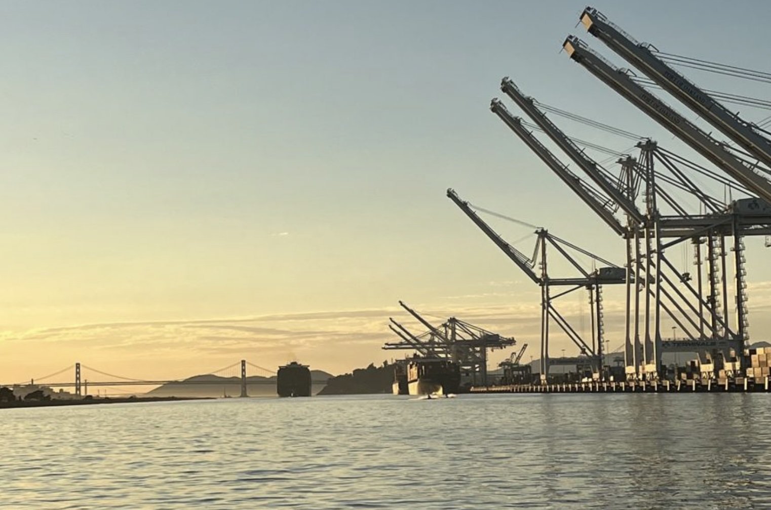 What No One Will Tell You About Trauma