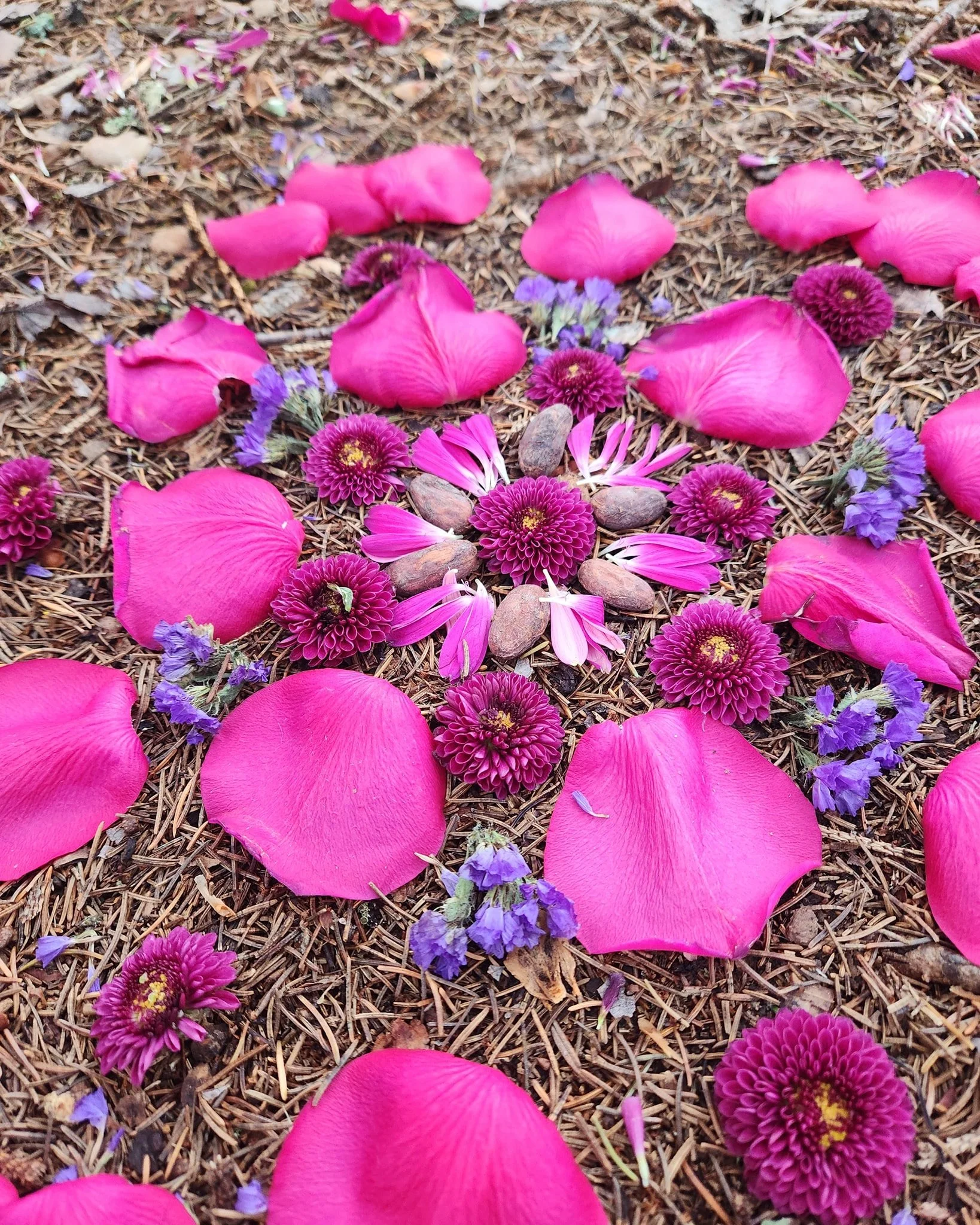 :: Ayni :: in the Q'ero culture, the native Puerivians living in the Andean mountains, ayni, or sacred reciprocity, is an important principle of way of life.

This concept refers to reciprocity not only amongst community members, but all humans, natu