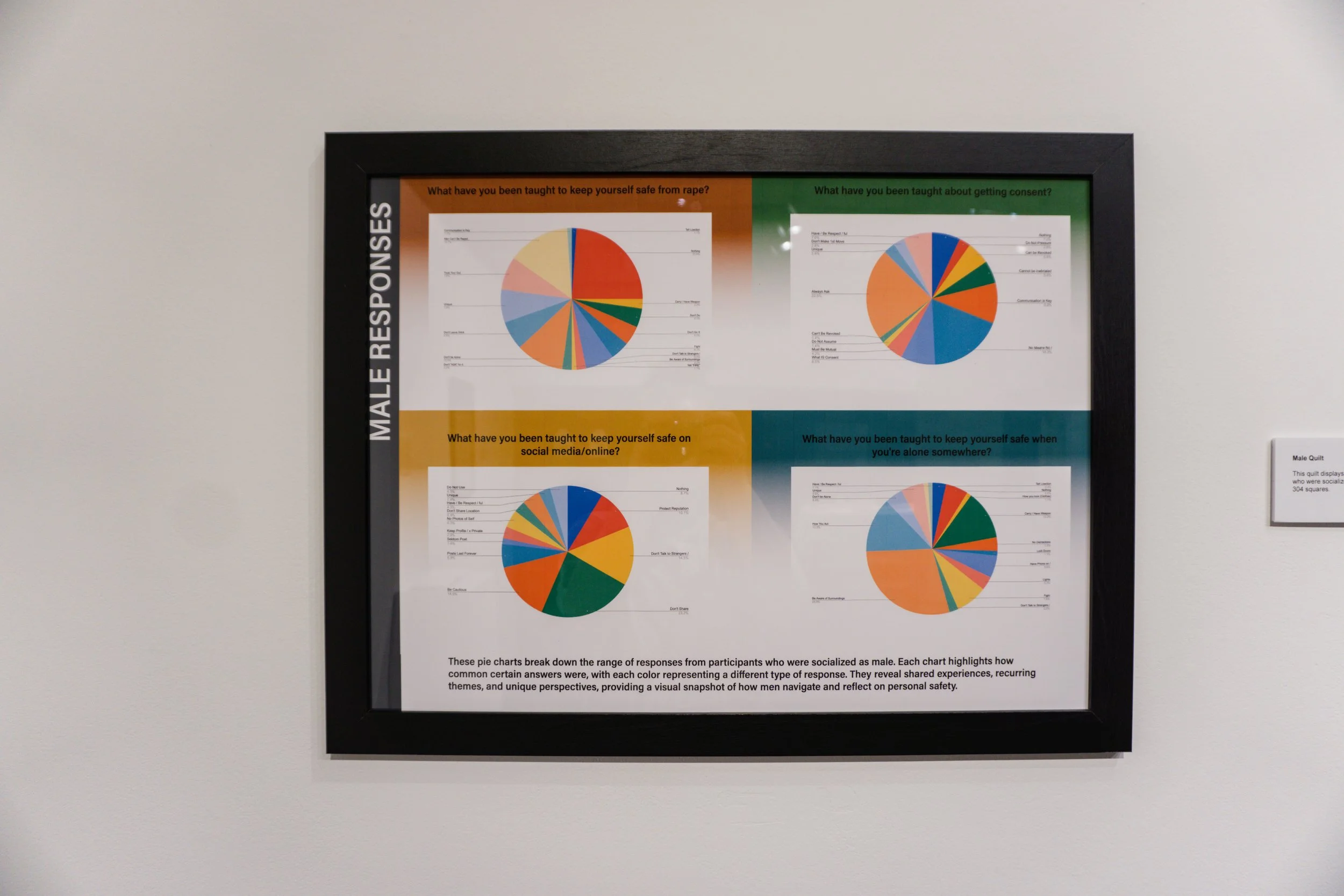 Comparison of male responses at Old Bruce Gallery