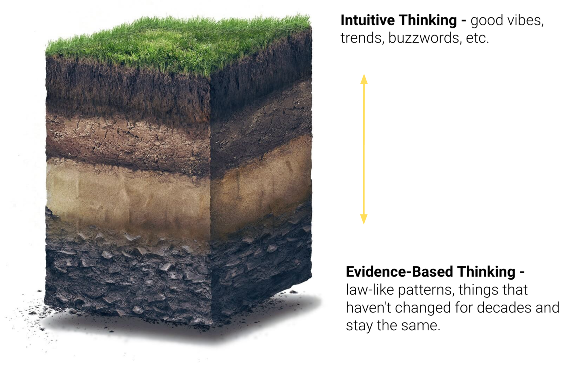 A cross-section of soil layers with plant grass on top, illustrating the concept of intuitive thinking and evidence-based thinking. The illustration compares the surface trends and buzzwords in the top layer to the stable, unchanging patterns in the deeper layers.