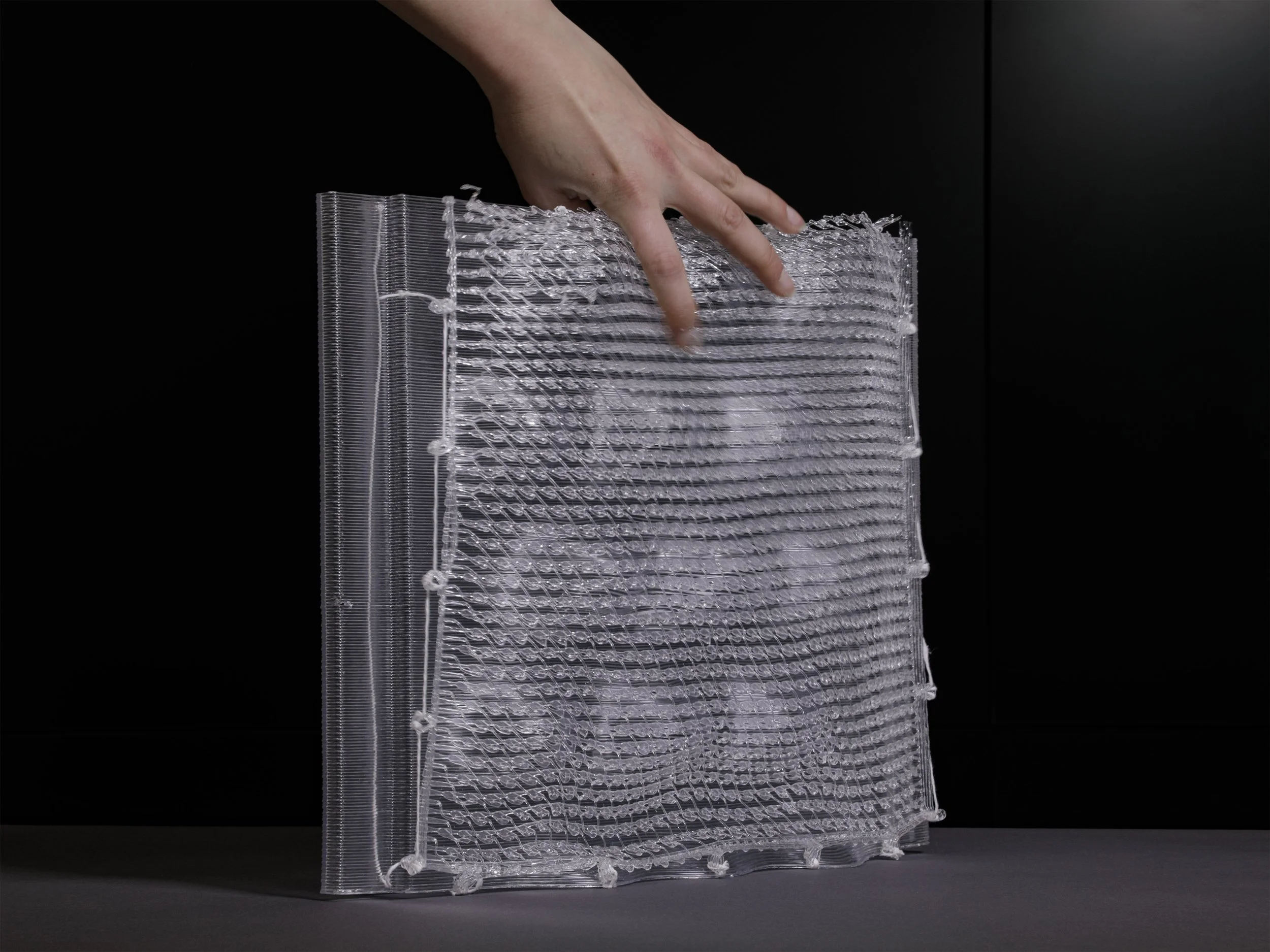 Copy of _M2A0958.jpg