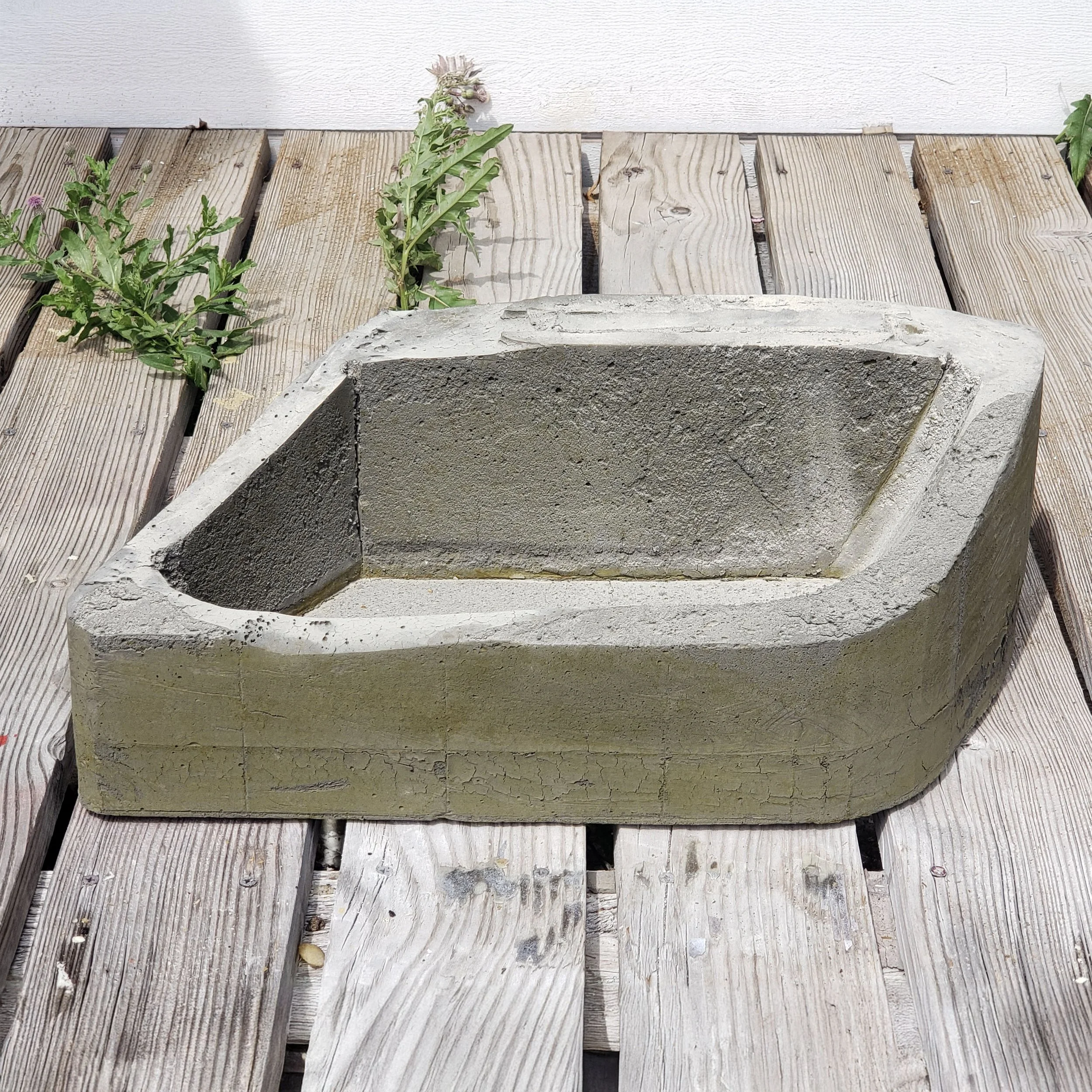 20190720_120814 copy.jpg