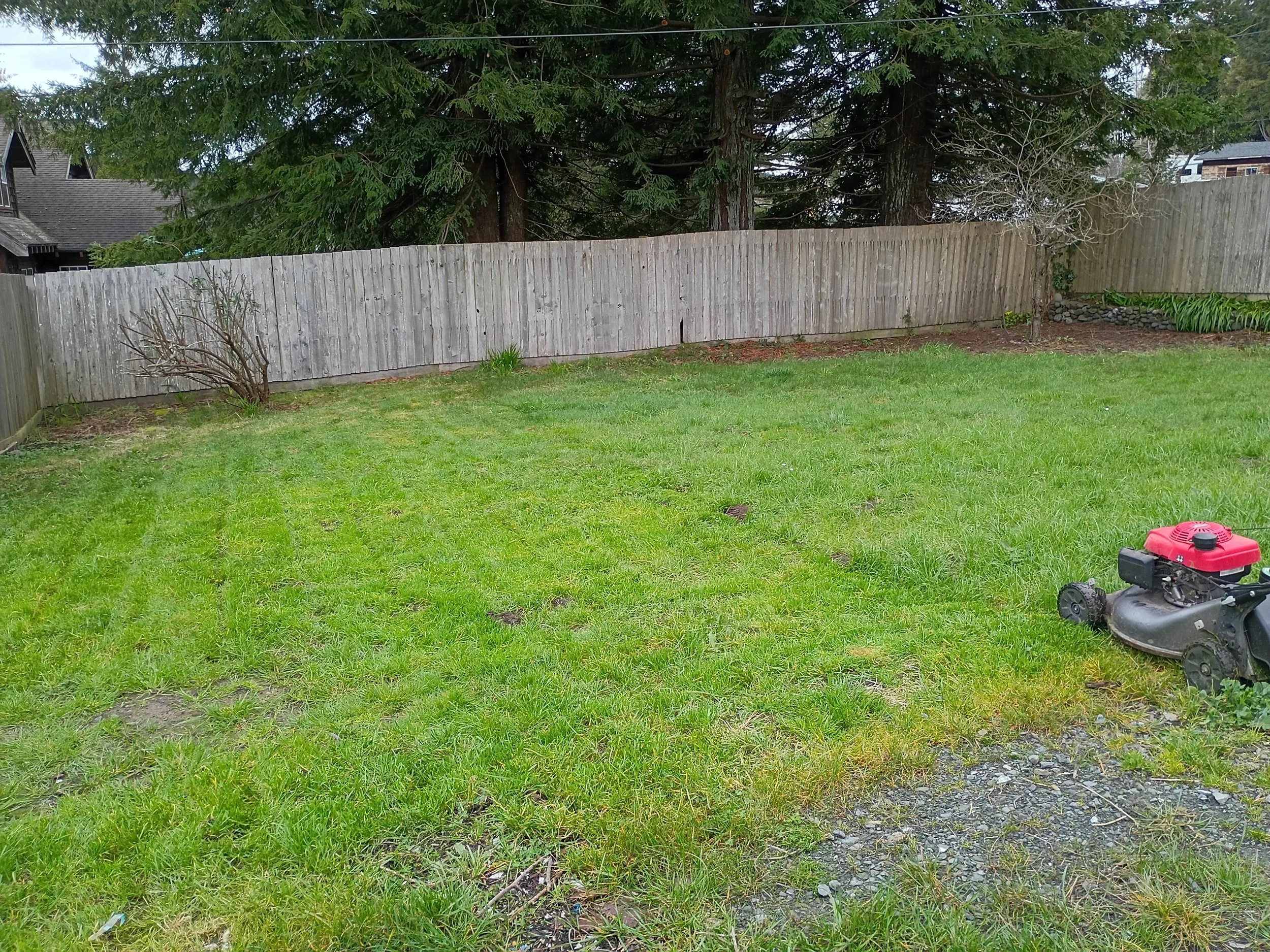 #lawn,#grass,#mowing,#landscaping,#property,#maintenance,#line-trimming,#weedeating,#limbing,#hedge,#edging