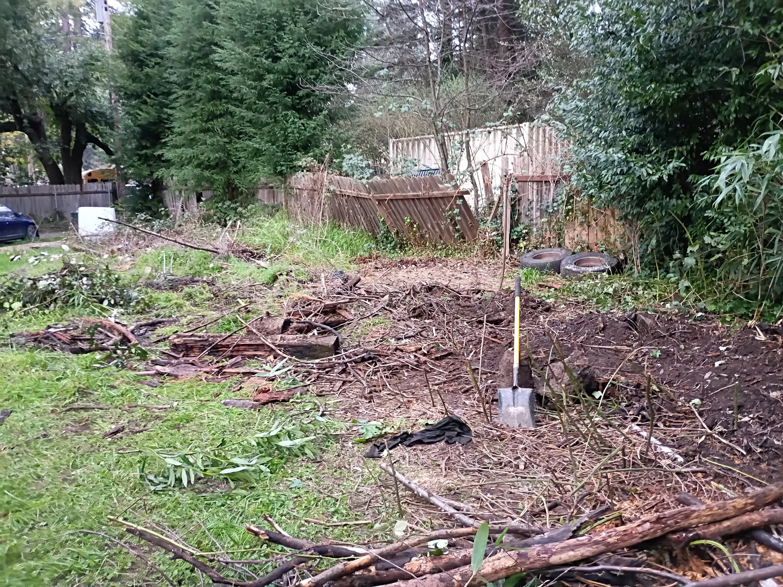 A pile of cut firewood logs placed on lush green grass in an outdoor setting, with a leafy bush and a small tree trunk in the background.