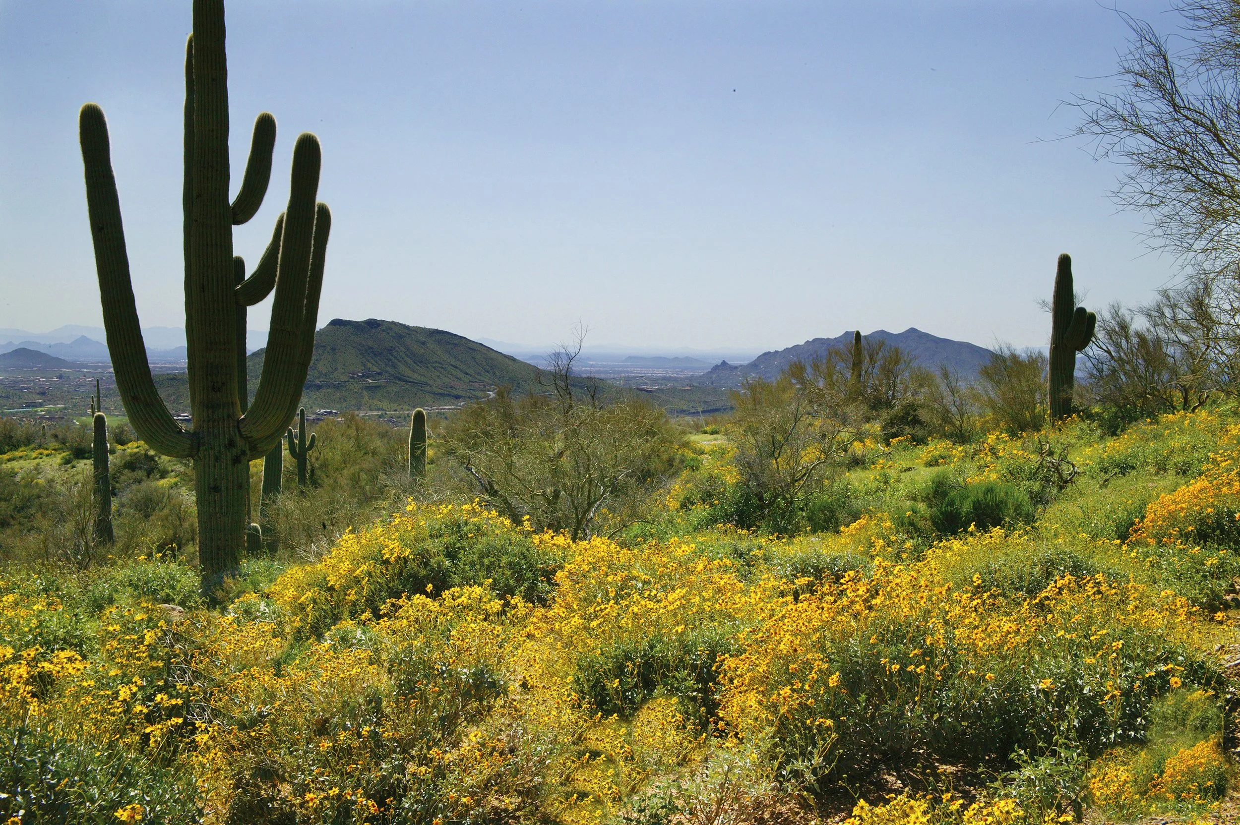 Mountain trail in Desert Mountain in Scottsdale, Arizona