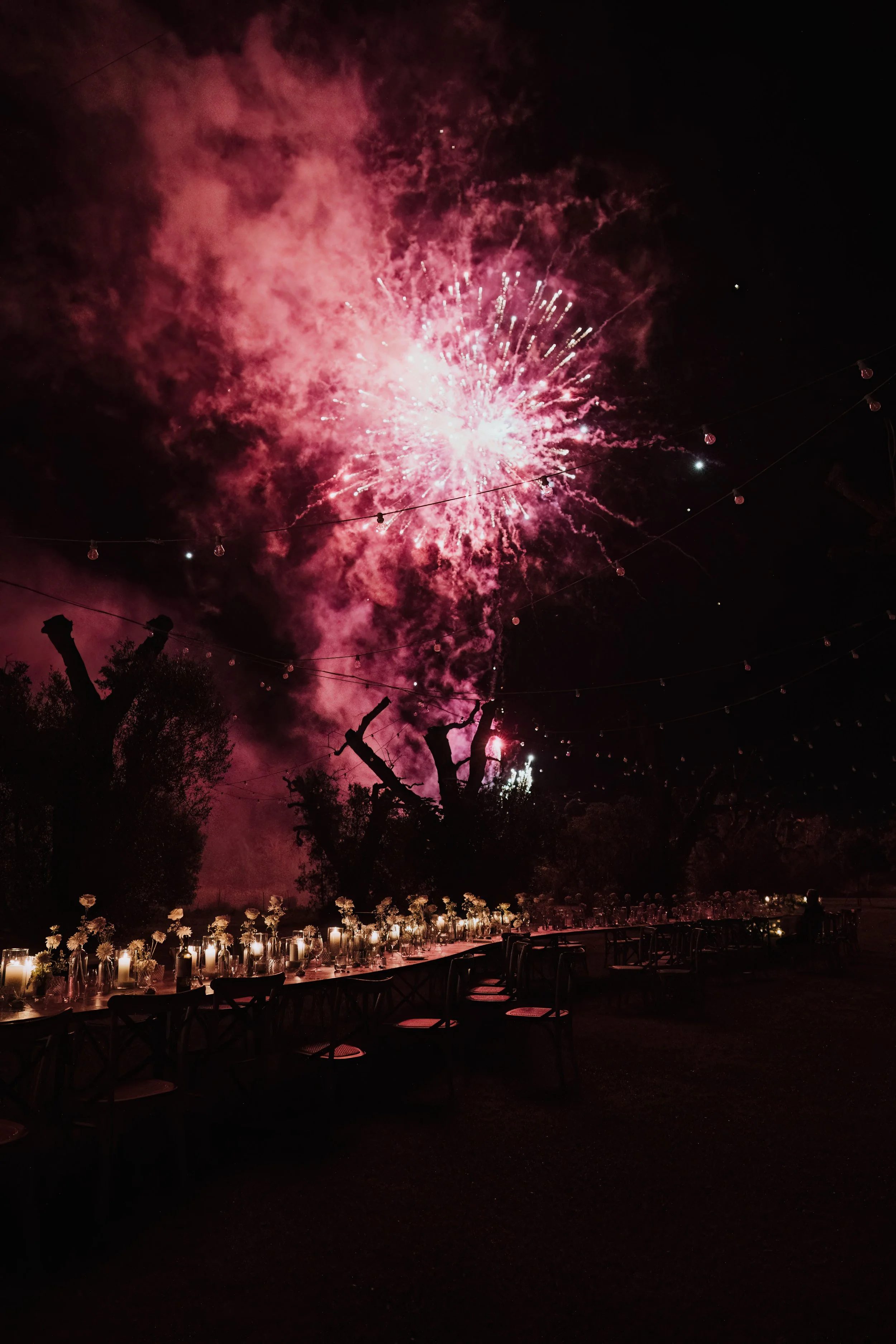becca+damien_dinner-478.jpg