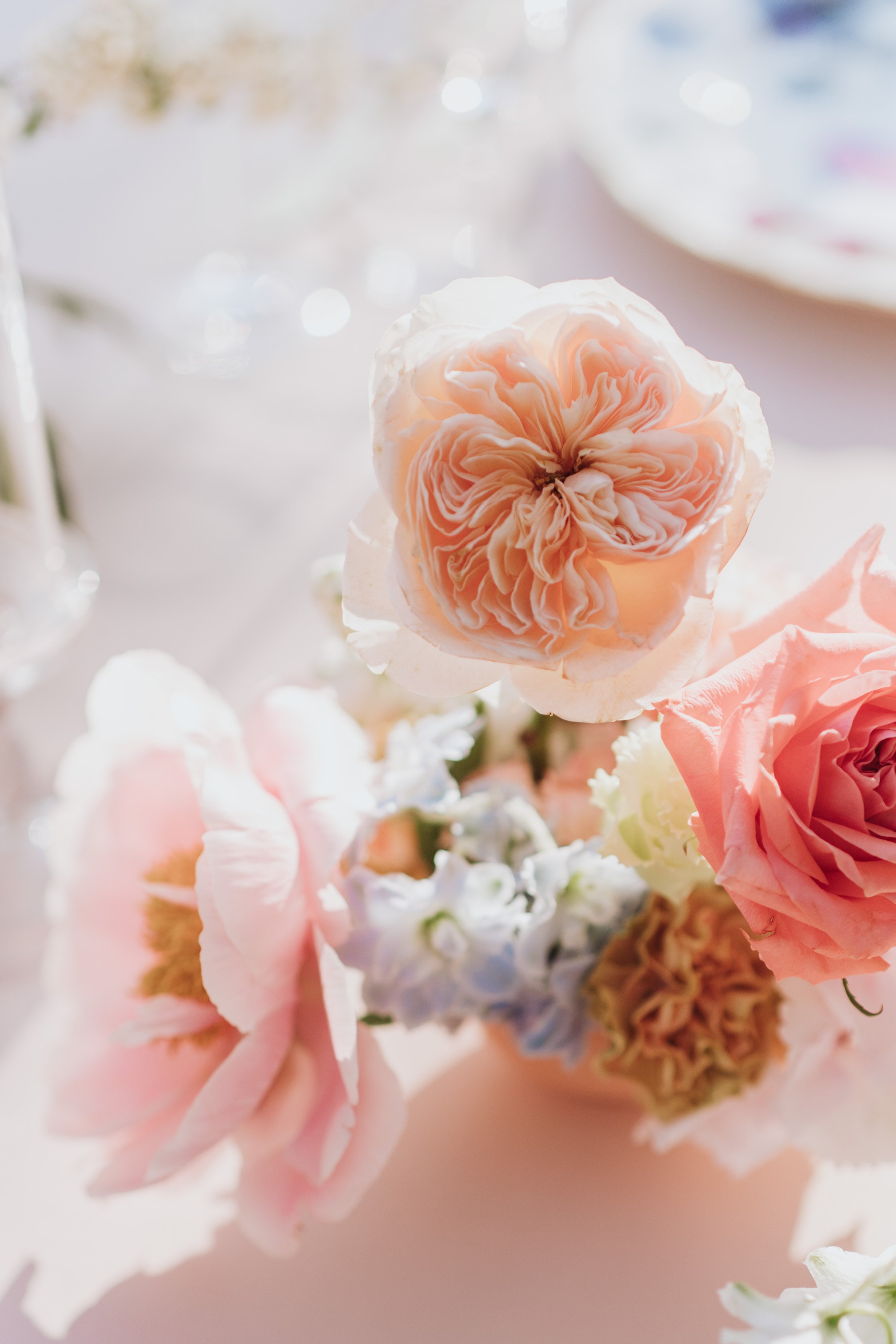 mary+greta_dinner-67.jpg