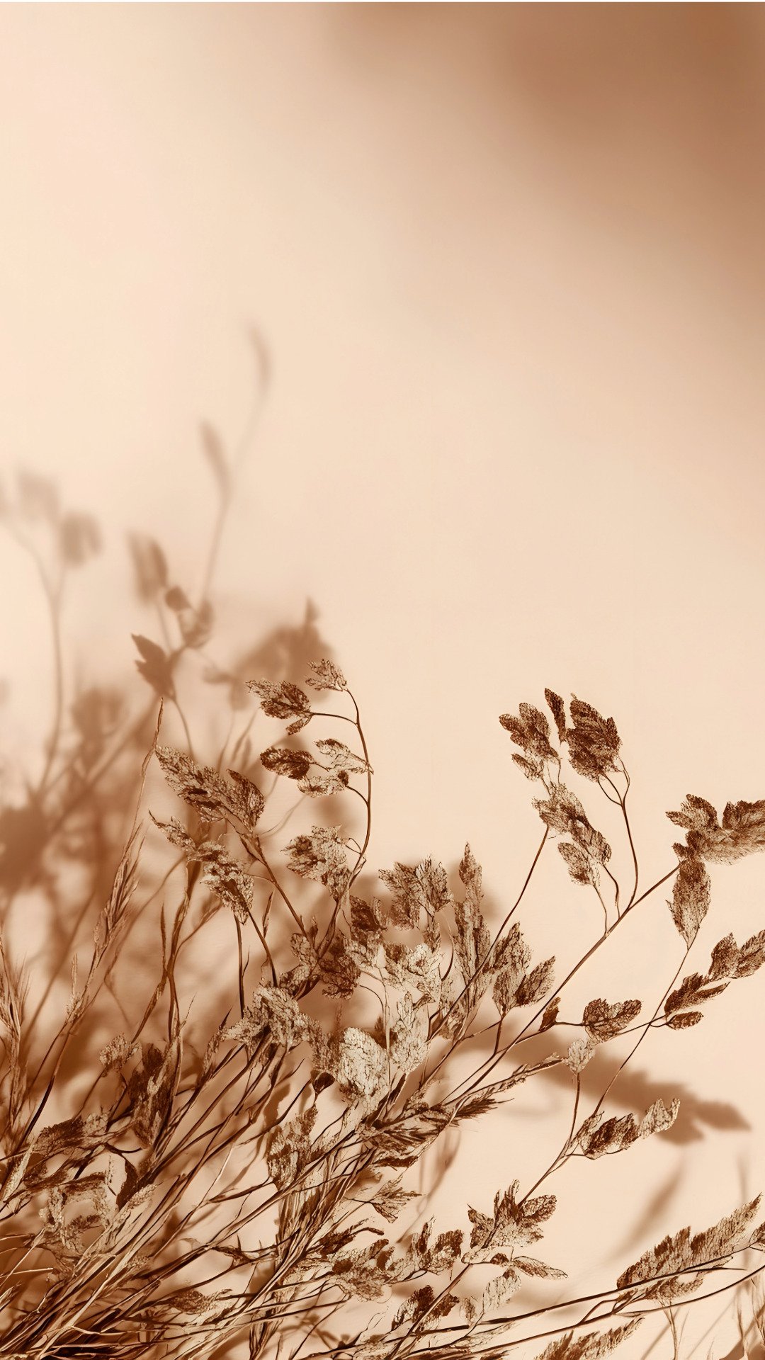 Dried wildflowers with thin stems and small leaves, casting shadows on a light beige background.
