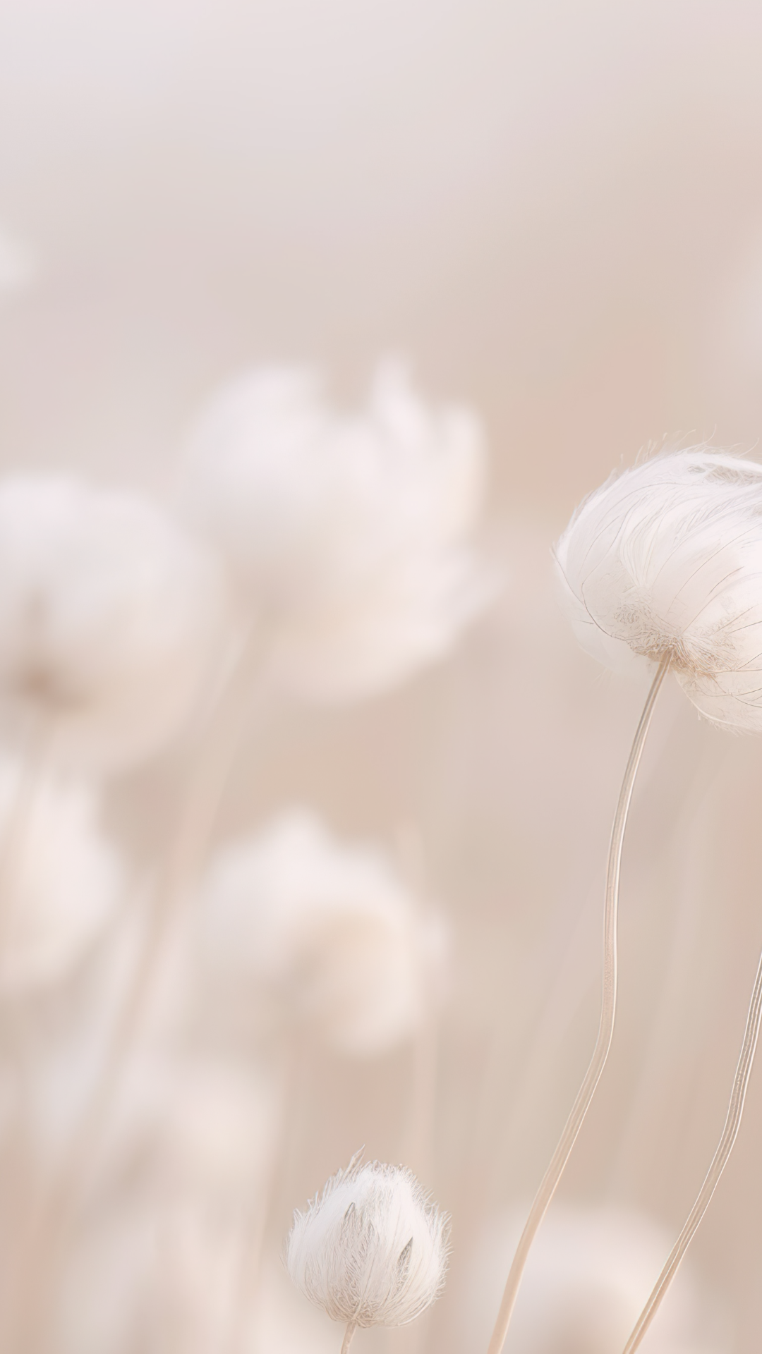 Spring bloom flowers