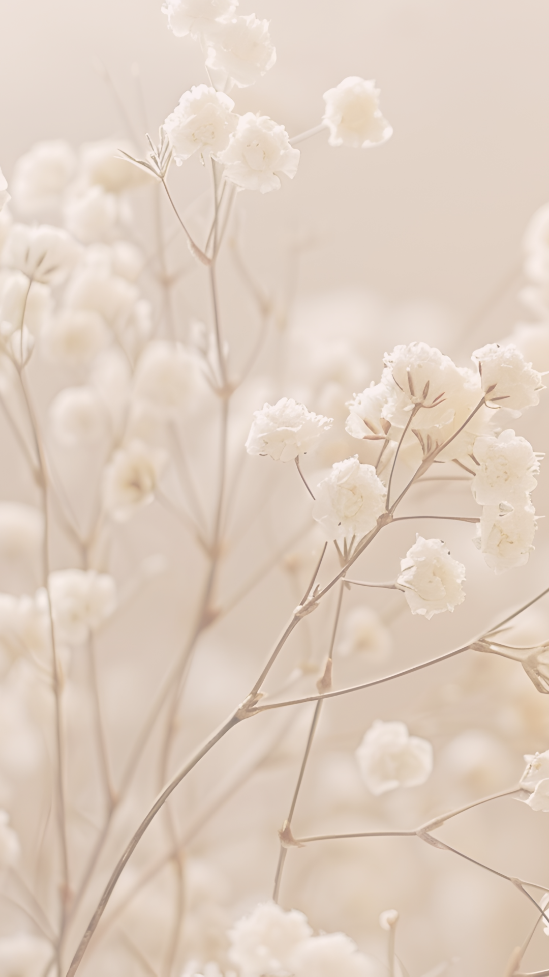 Spring Bloom Flowers
